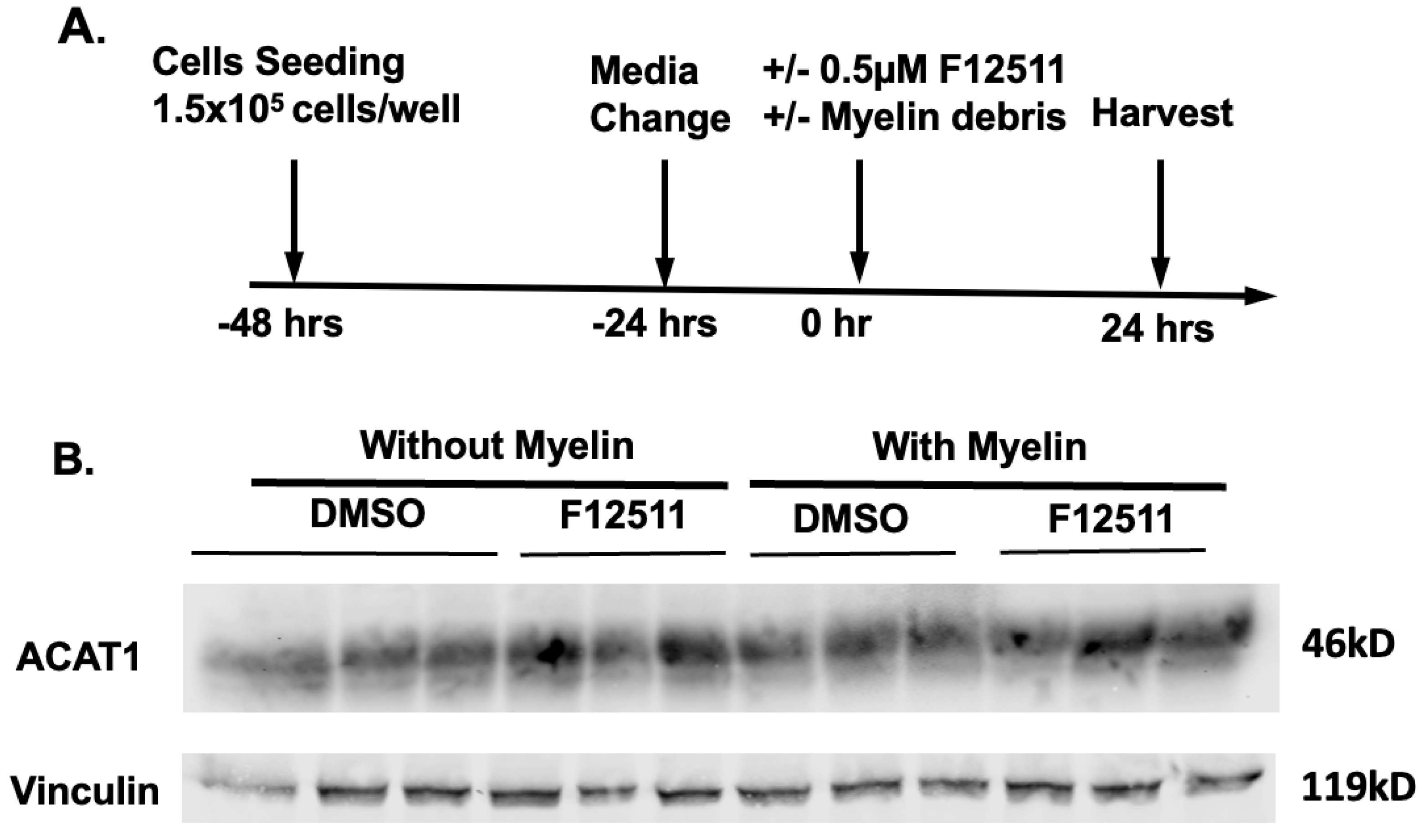 Biomolecules 14 01301 g004a