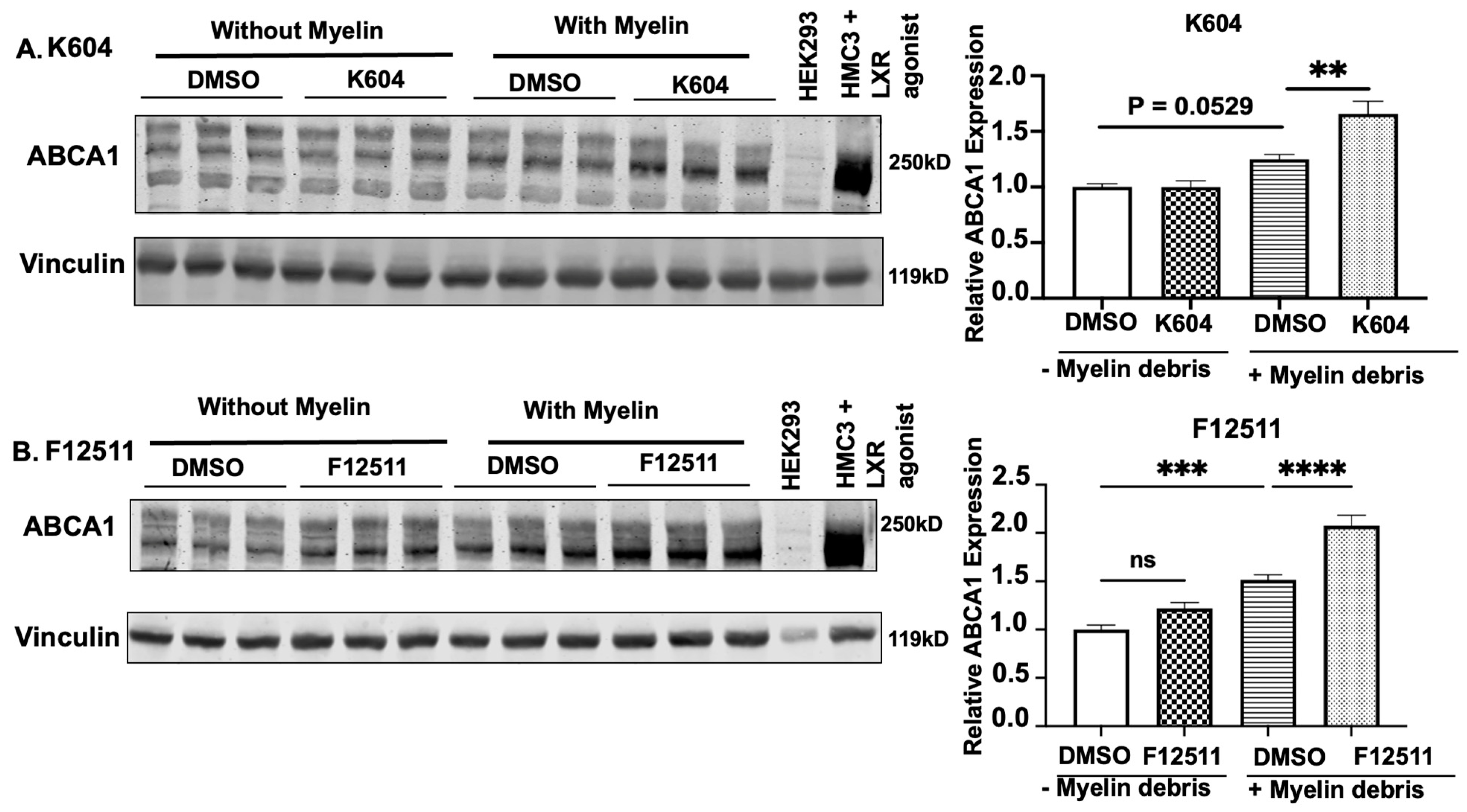 Biomolecules 14 01301 g005