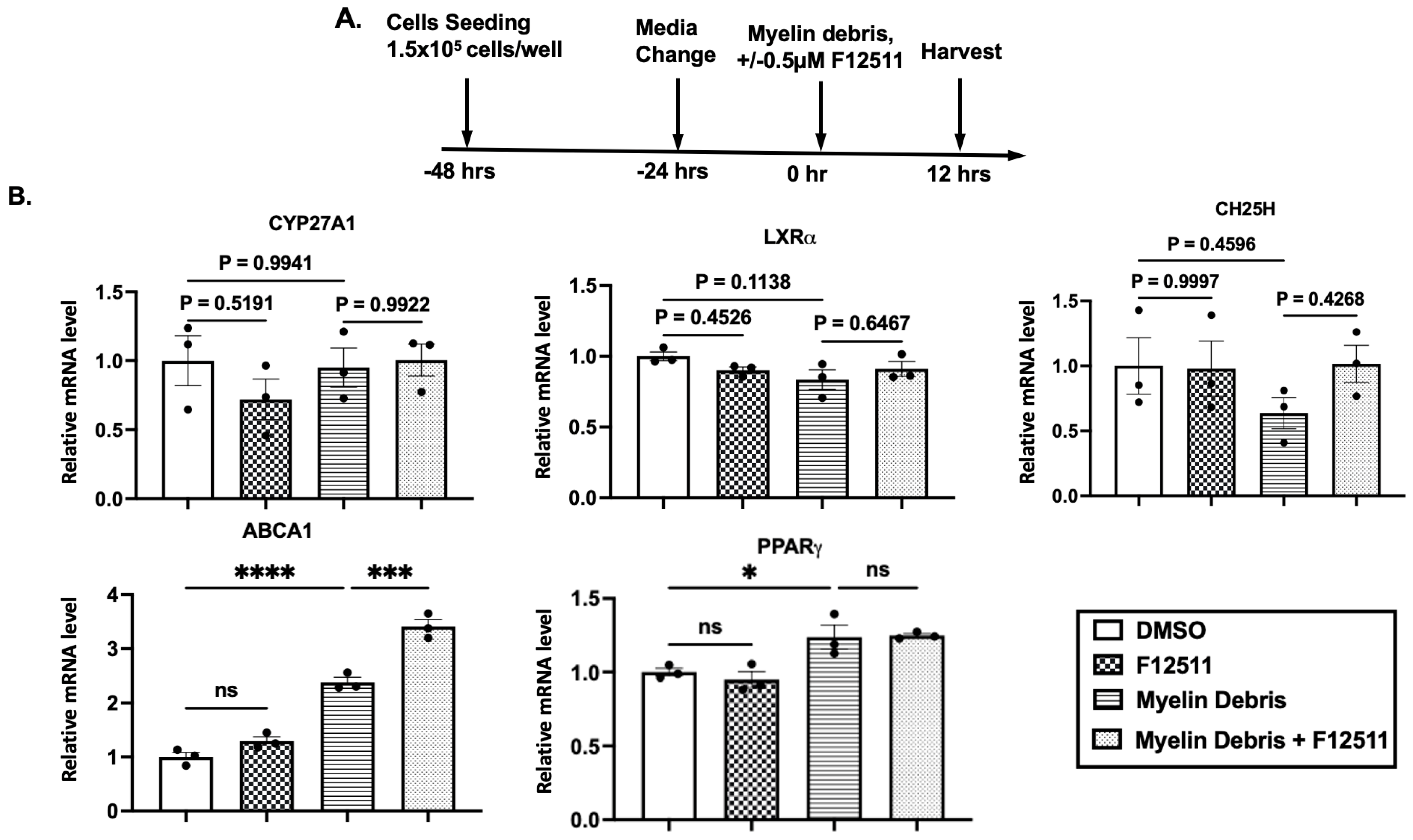 Biomolecules 14 01301 g006