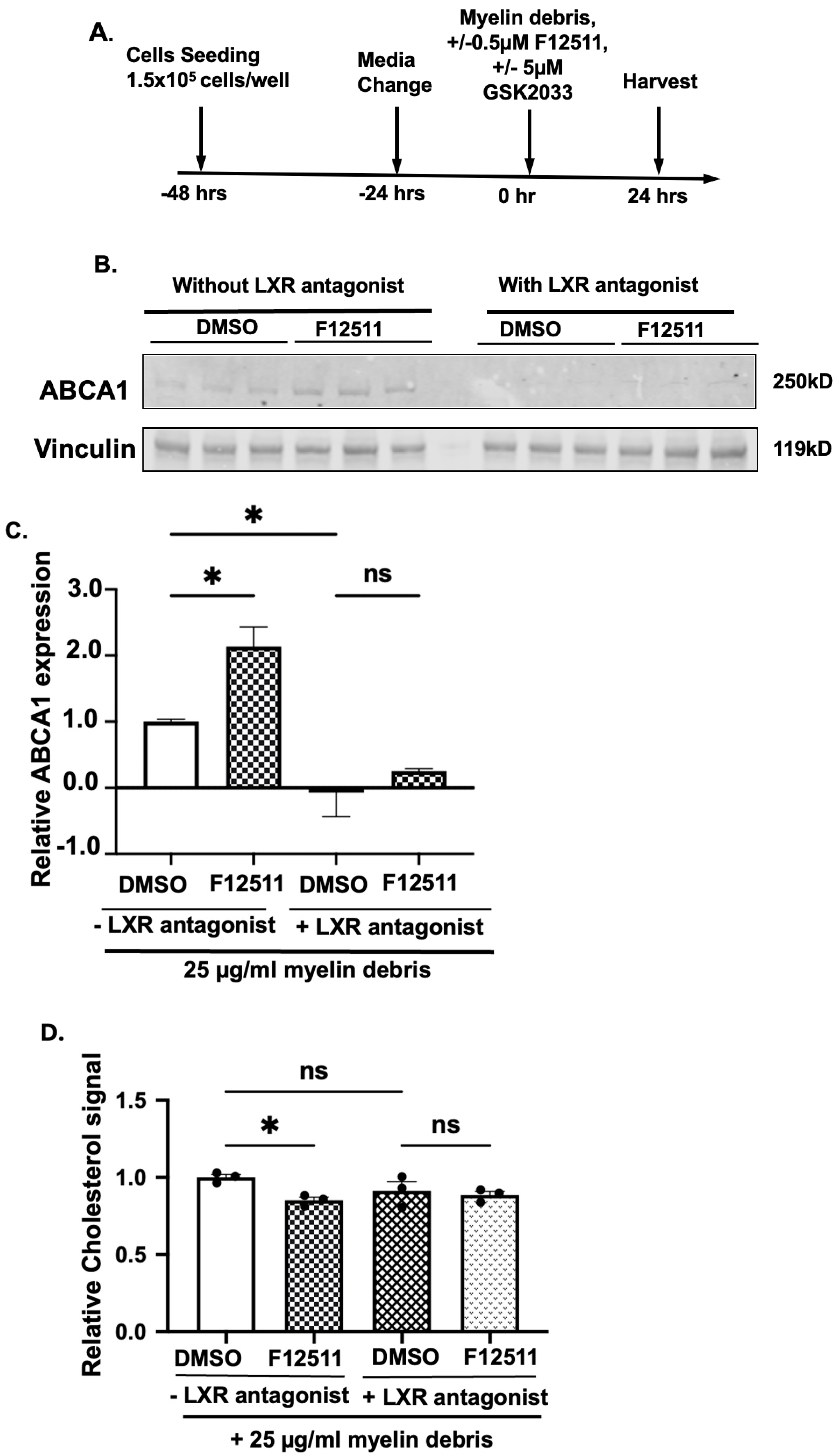 Biomolecules 14 01301 g007
