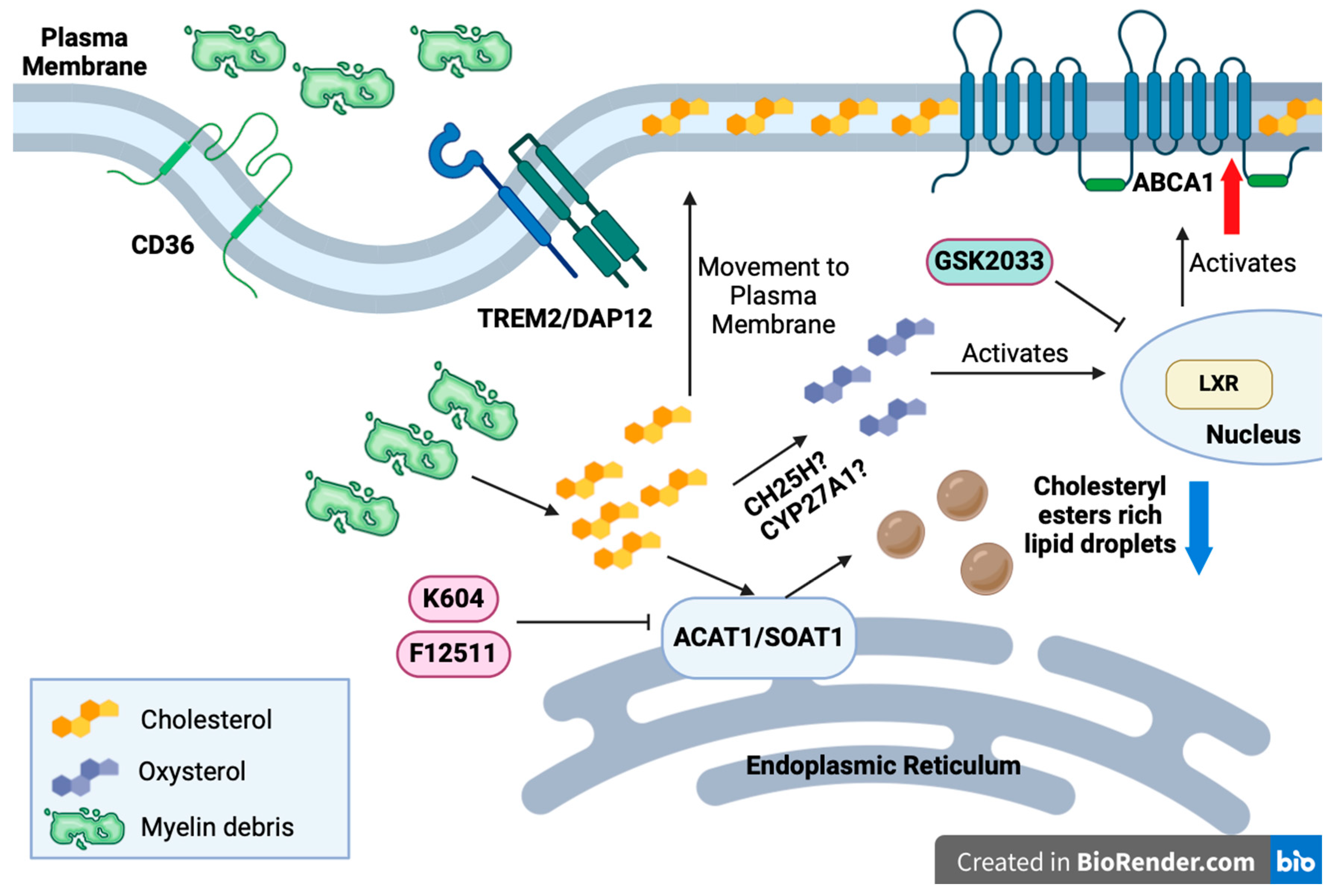 Biomolecules 14 01301 g008