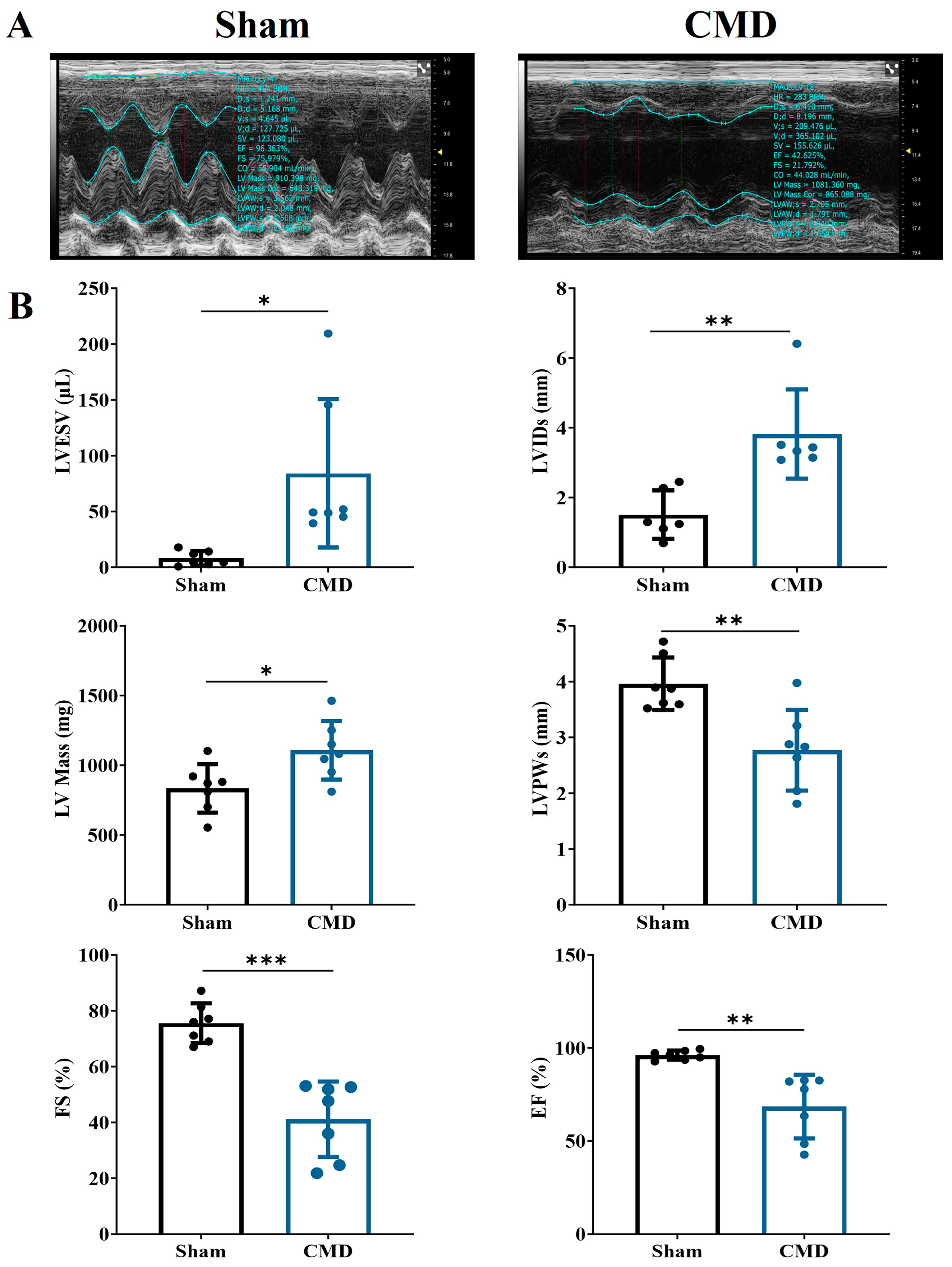 Biomolecules 14 01305 g002