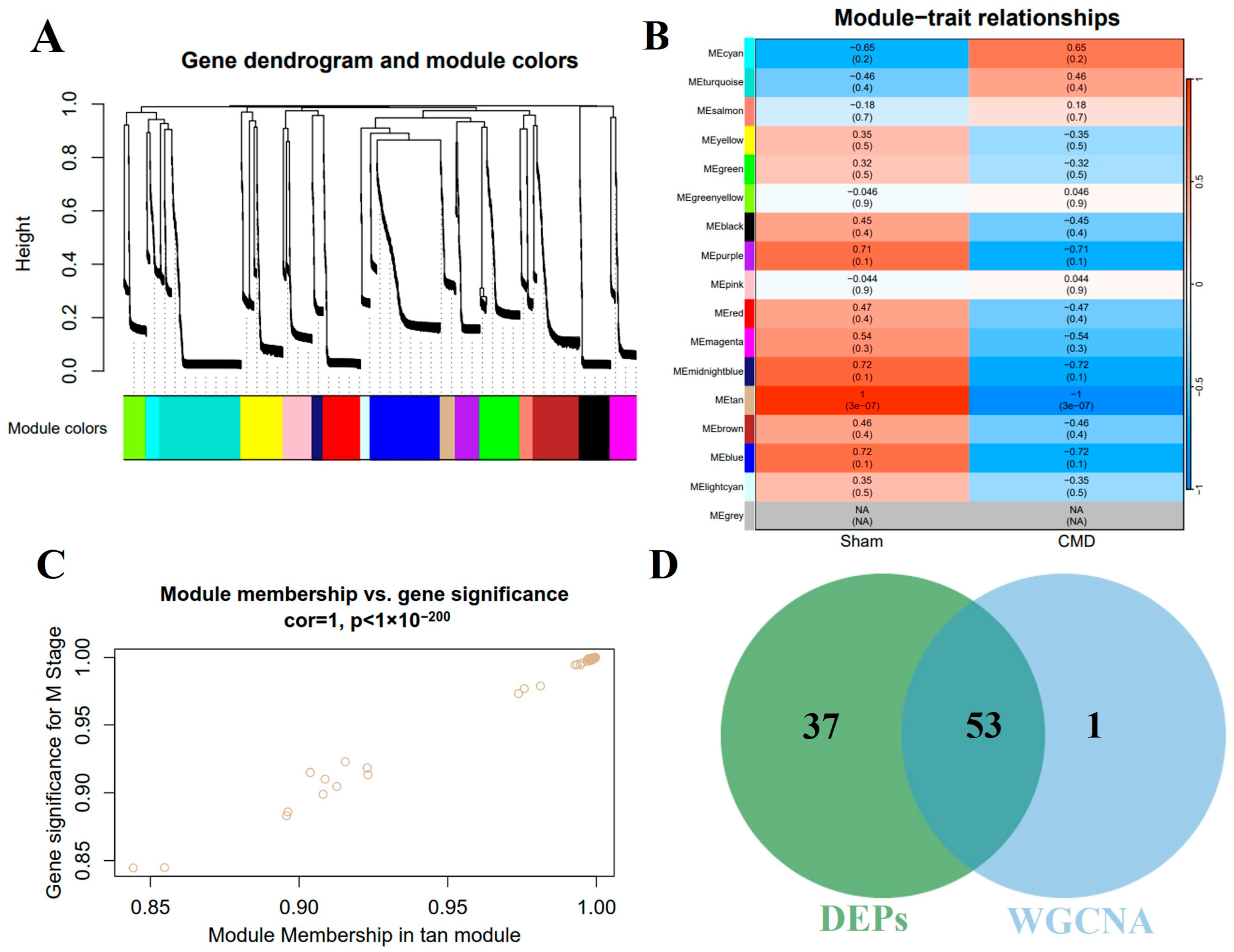 Biomolecules 14 01305 g005