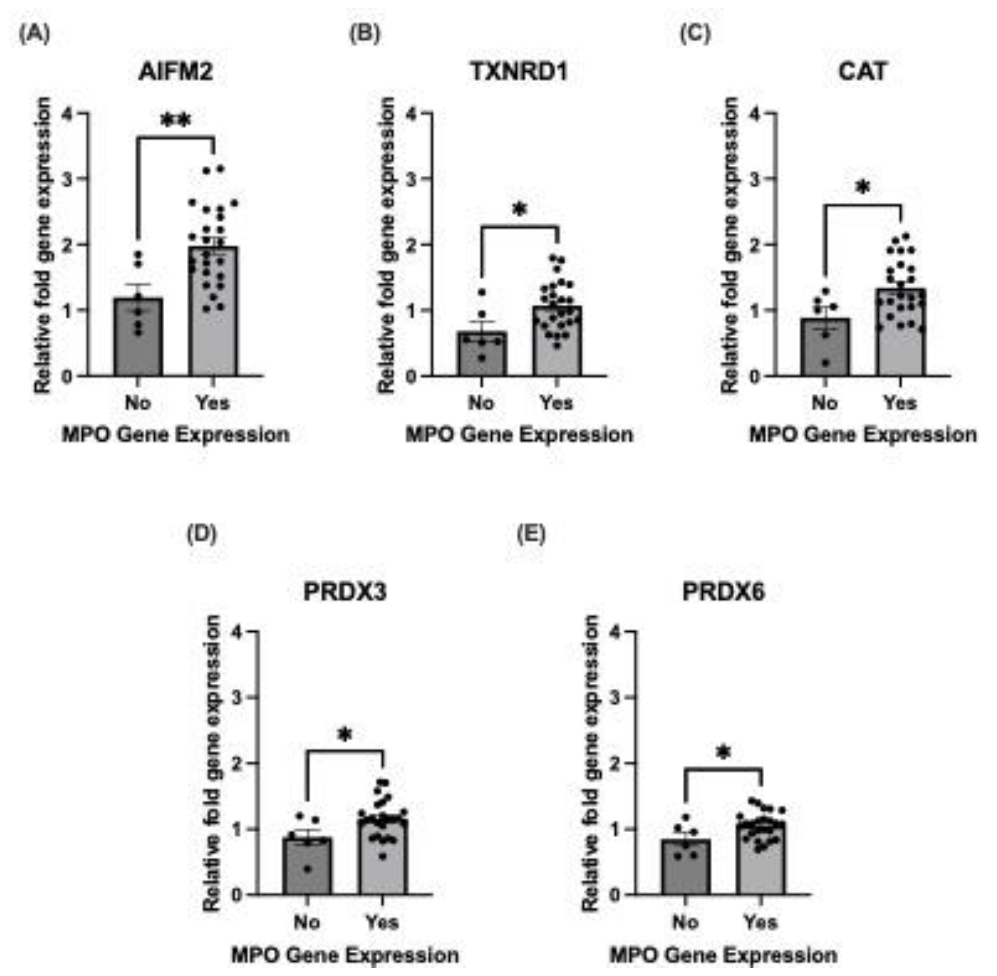 Biomolecules 14 01308 g004
