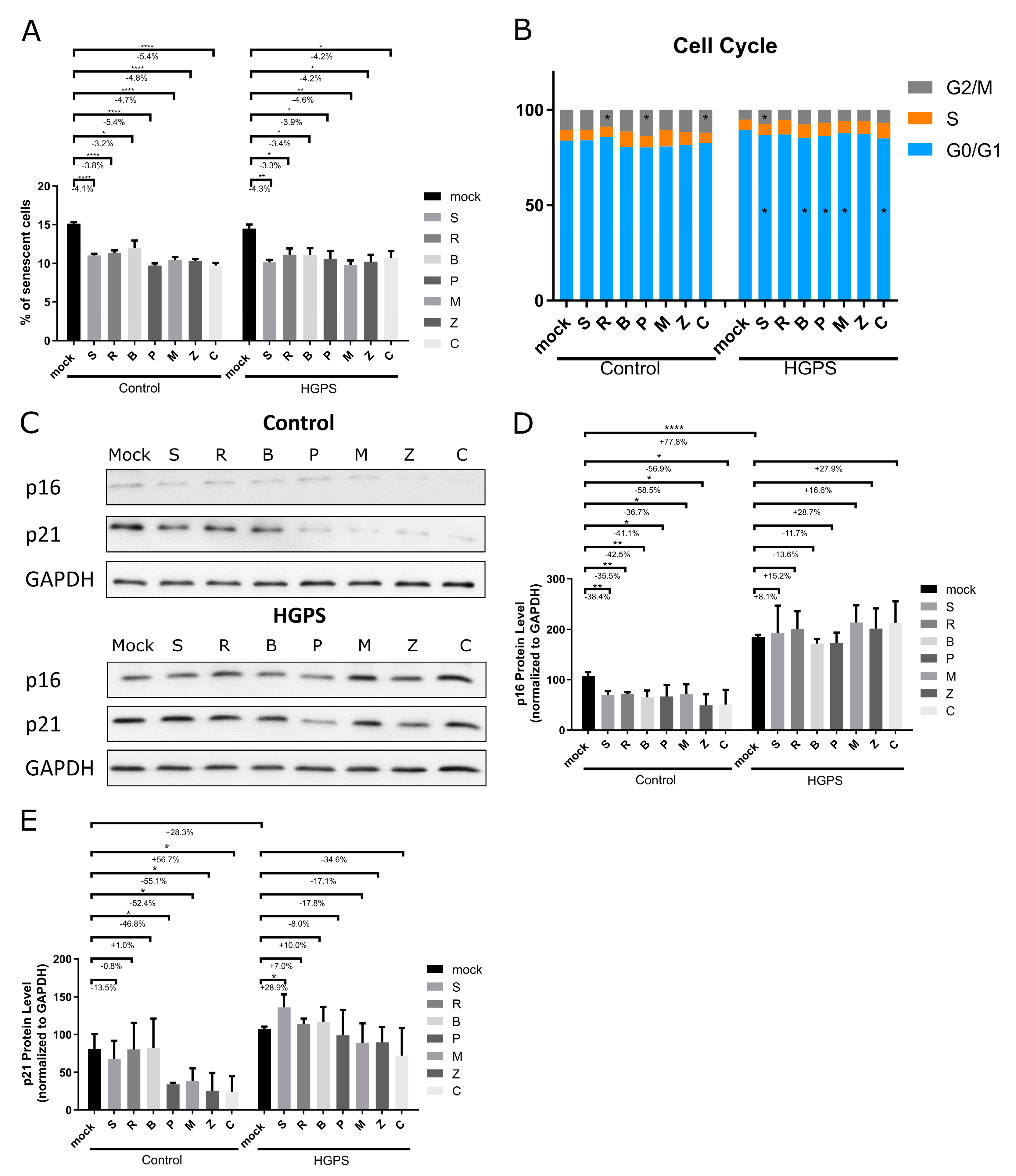 Biomolecules 14 01310 g005 Biomolecules 14 01310 g005
