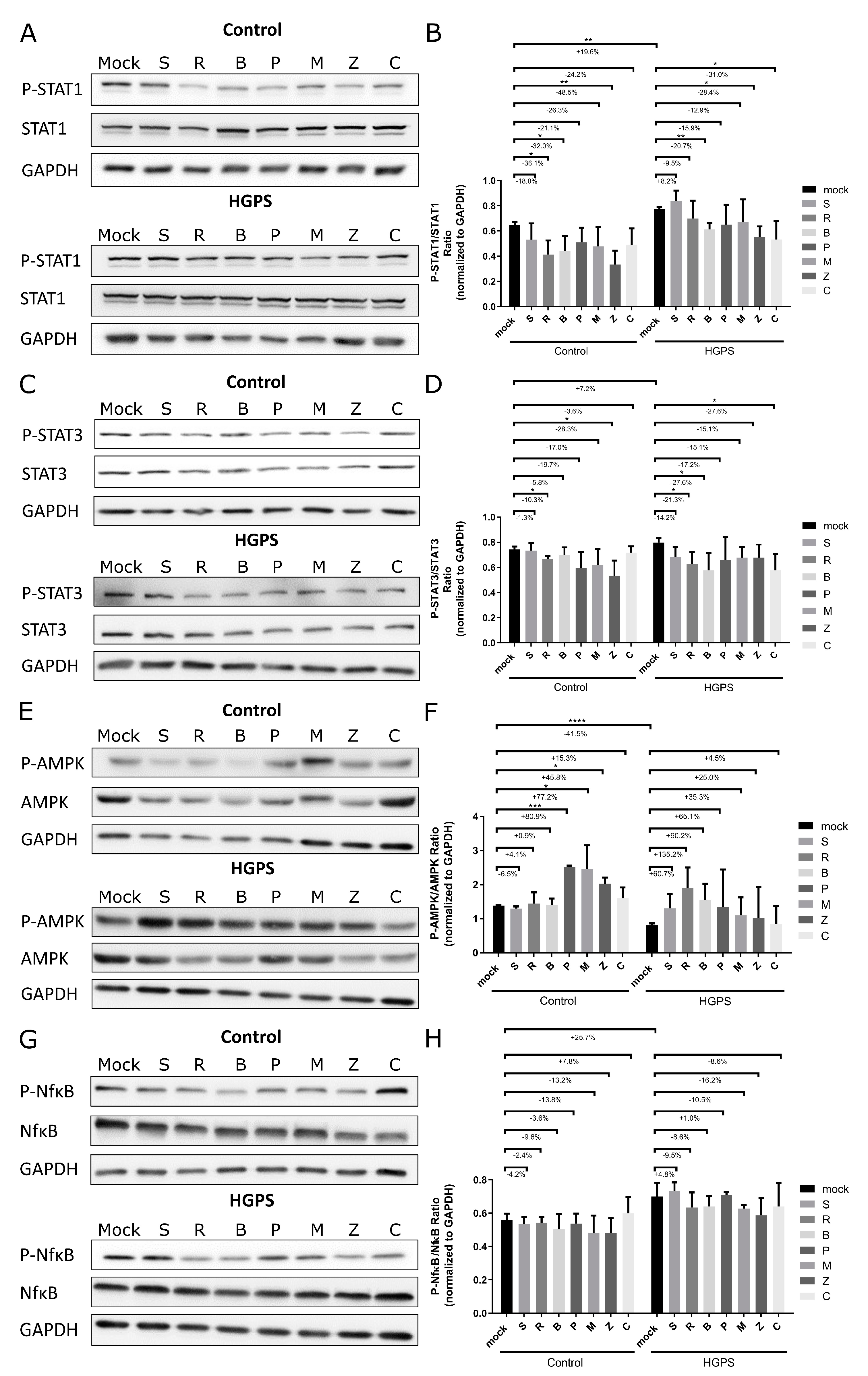 Biomolecules 14 01310 g006 Biomolecules 14 01310 g006