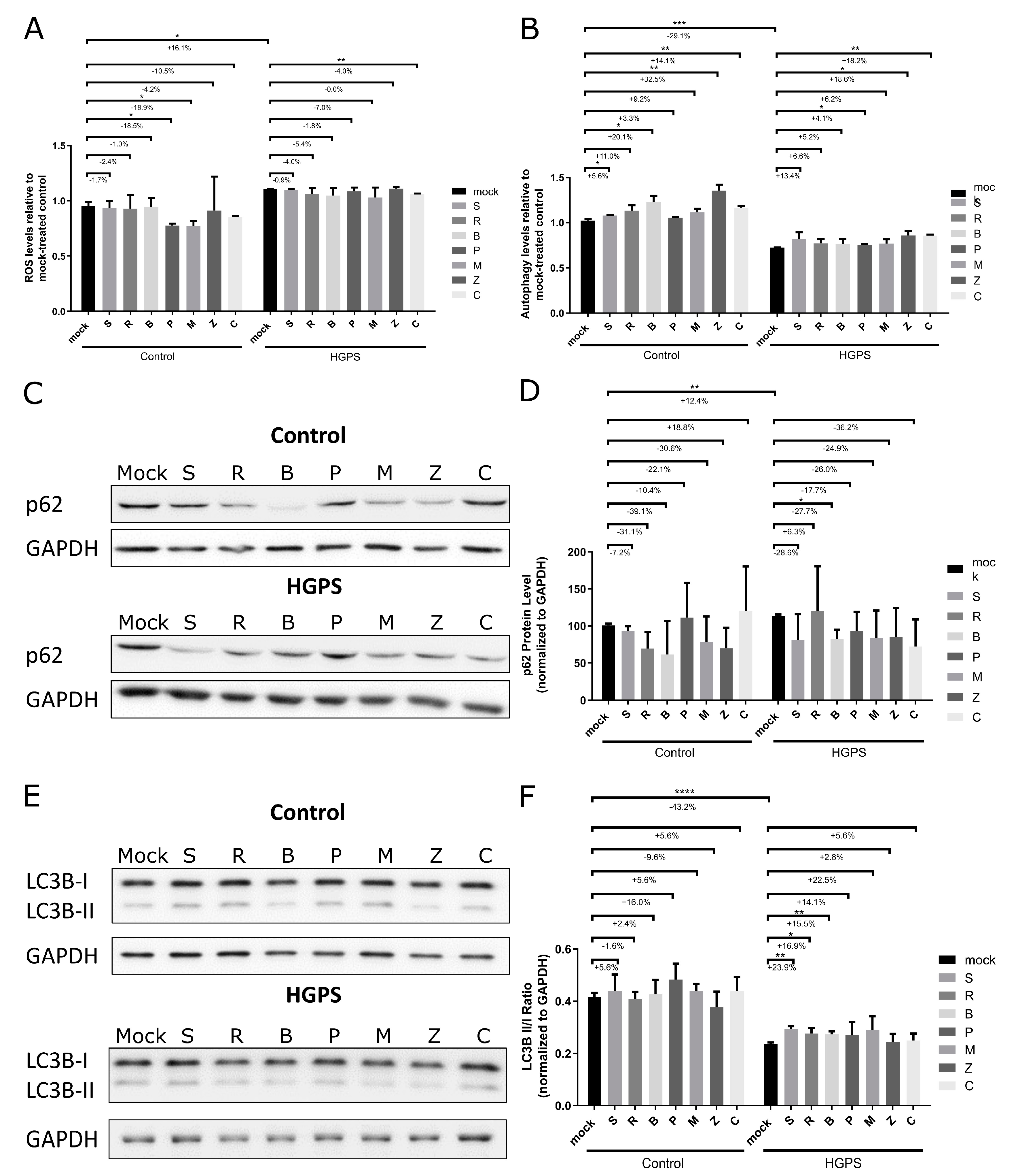 Biomolecules 14 01310 g007 Biomolecules 14 01310 g007