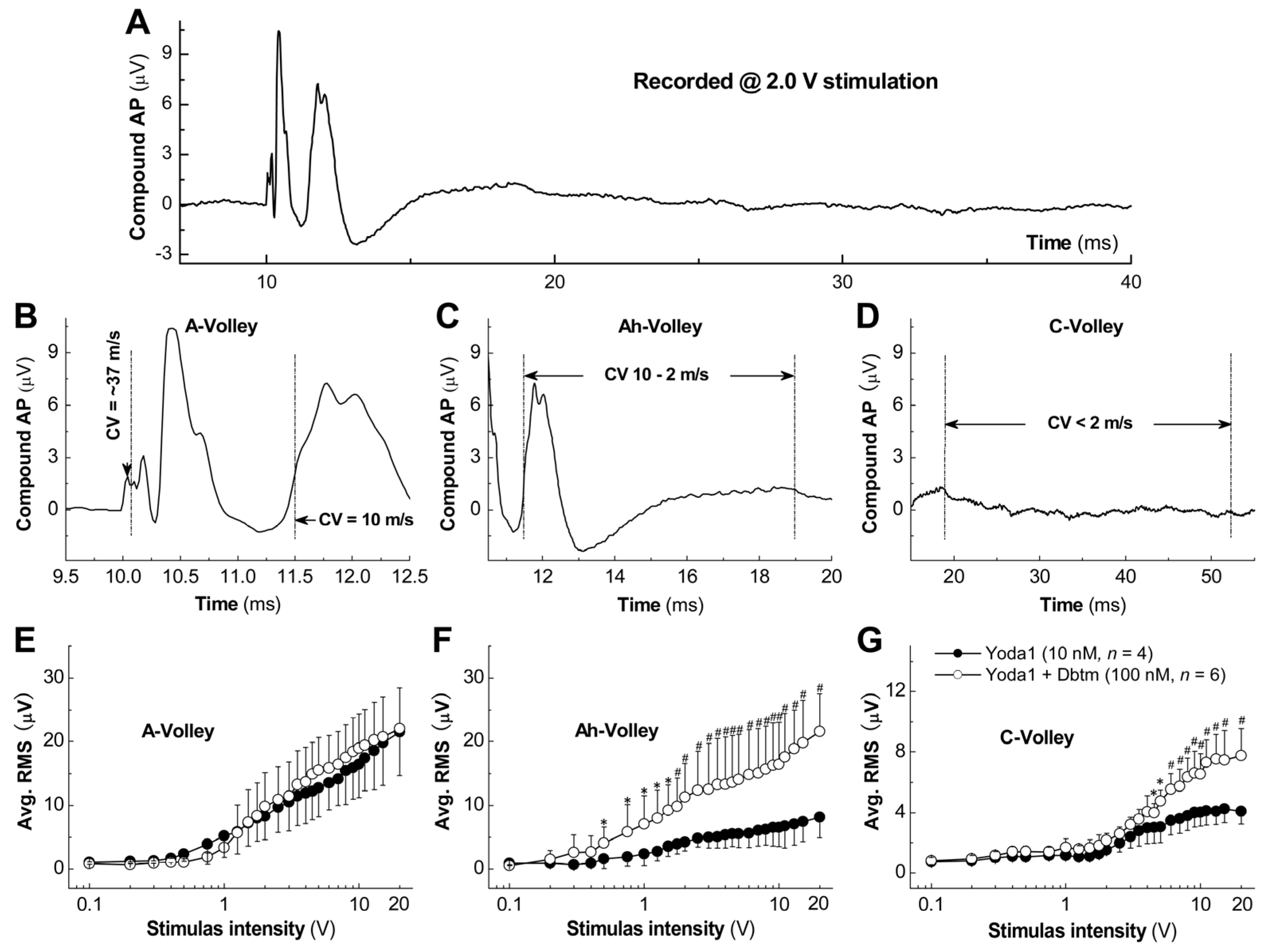 Biomolecules 14 01311 g002 Biomolecules 14 01311 g002