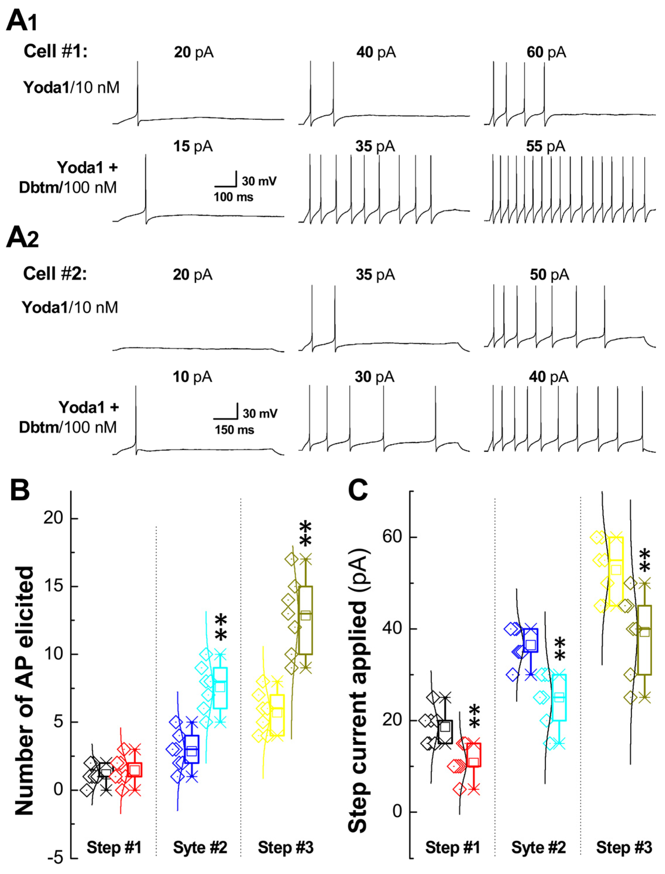 Biomolecules 14 01311 g003 Biomolecules 14 01311 g003