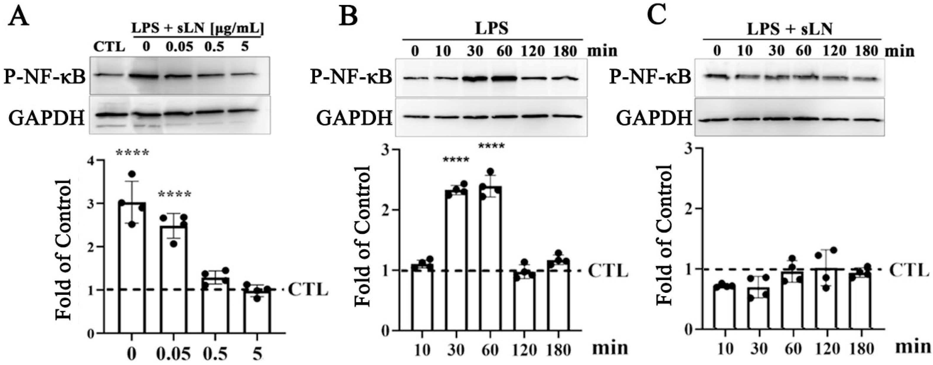 Biomolecules 14 01312 g002