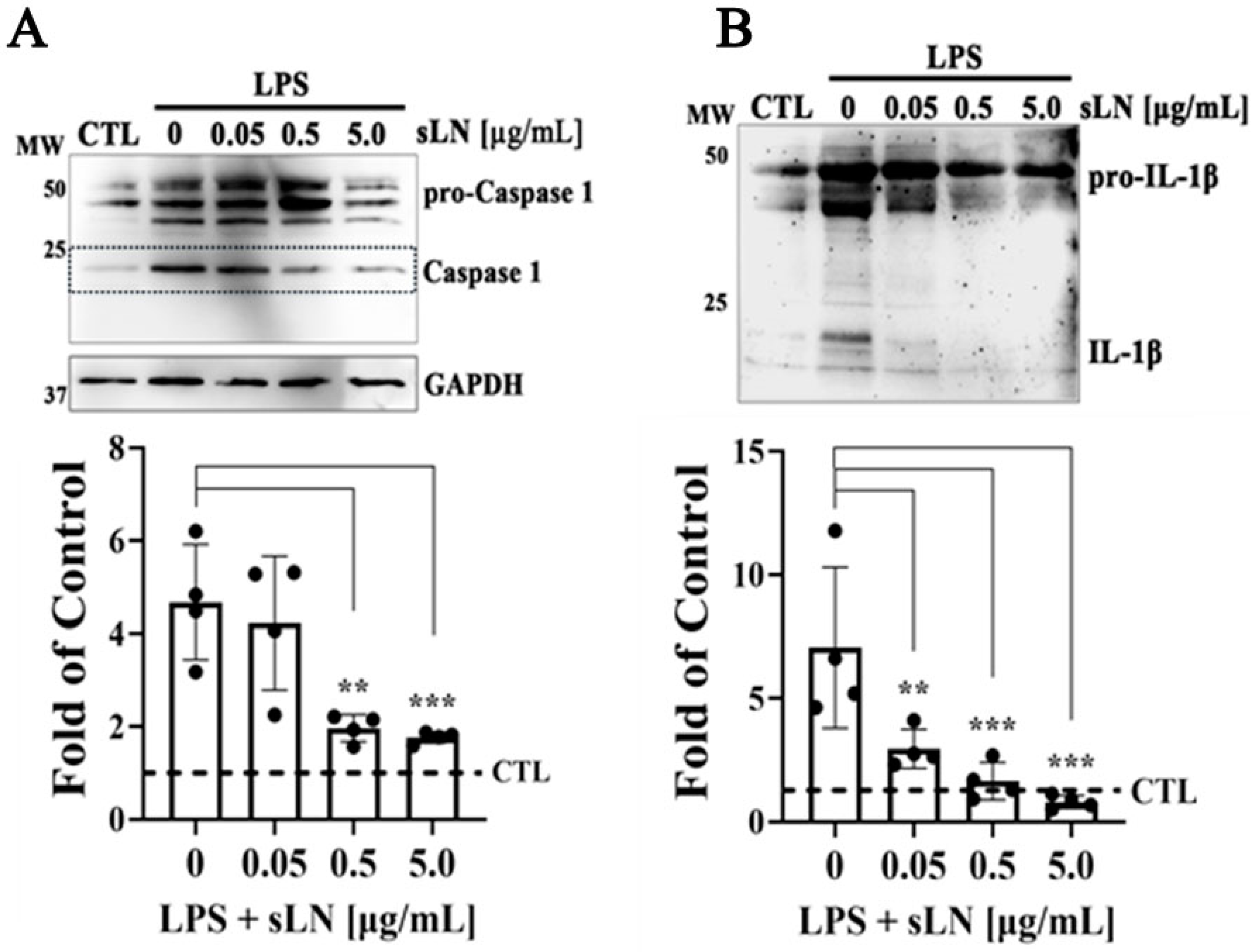 Biomolecules 14 01312 g004