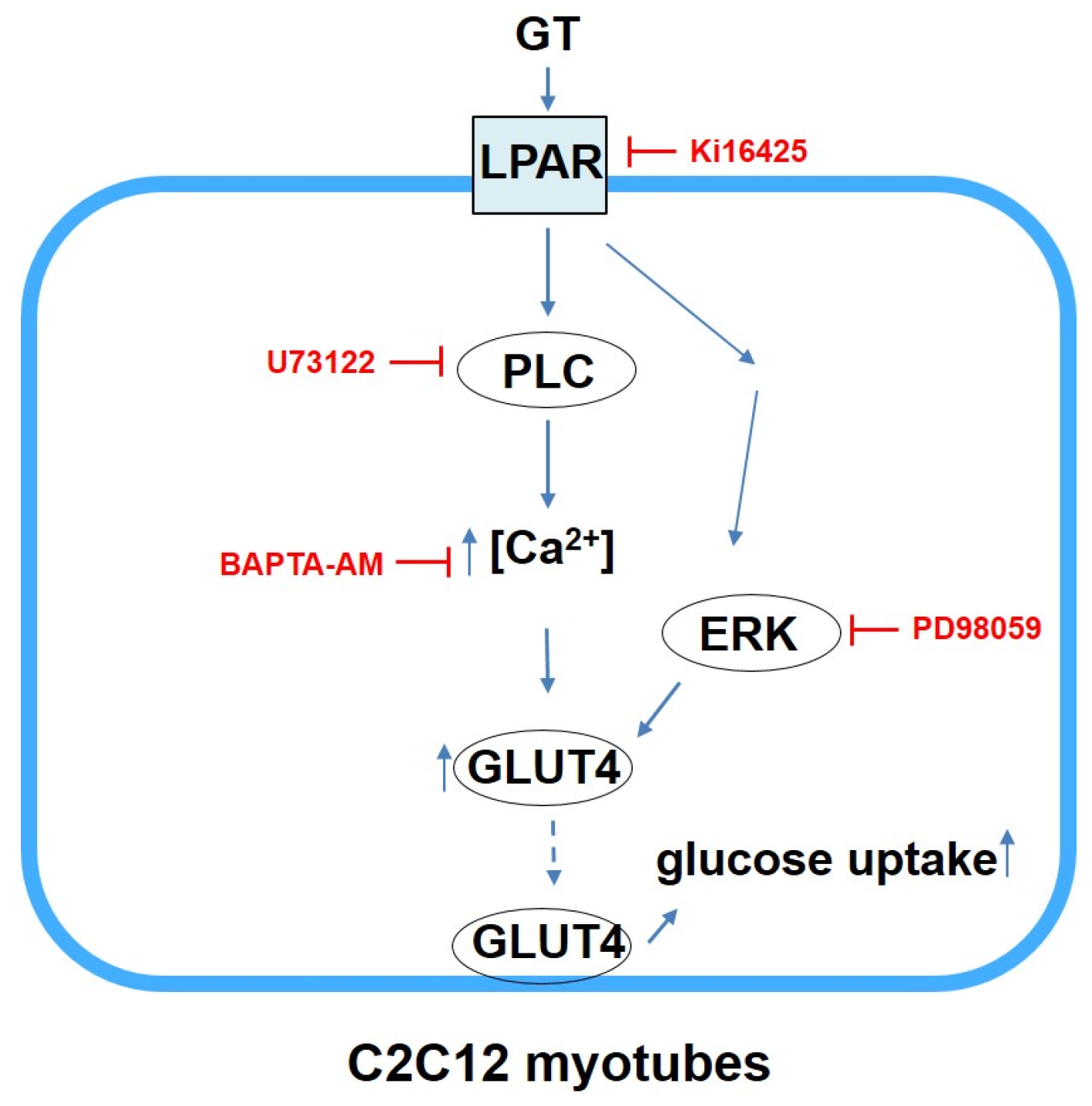 Biomolecules 14 01316 g006