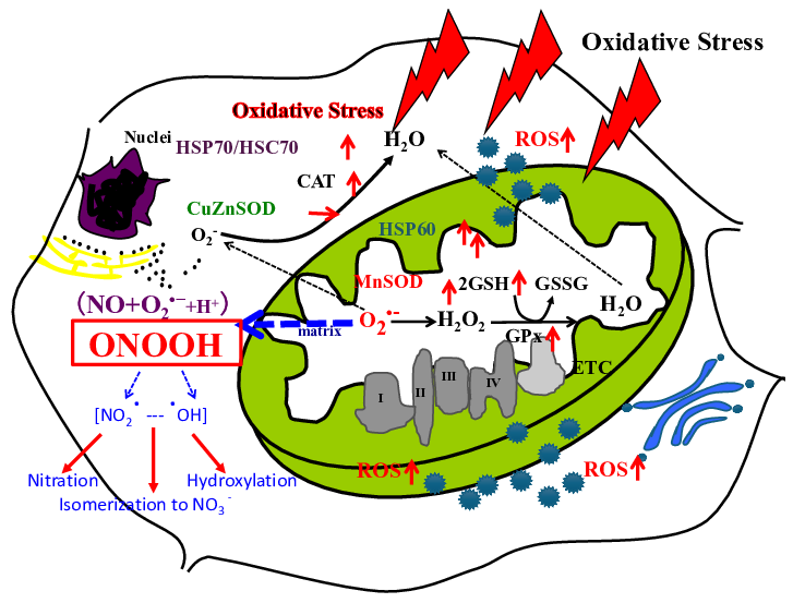 Biomolecules 14 01317 g002 Biomolecules 14 01317 g002