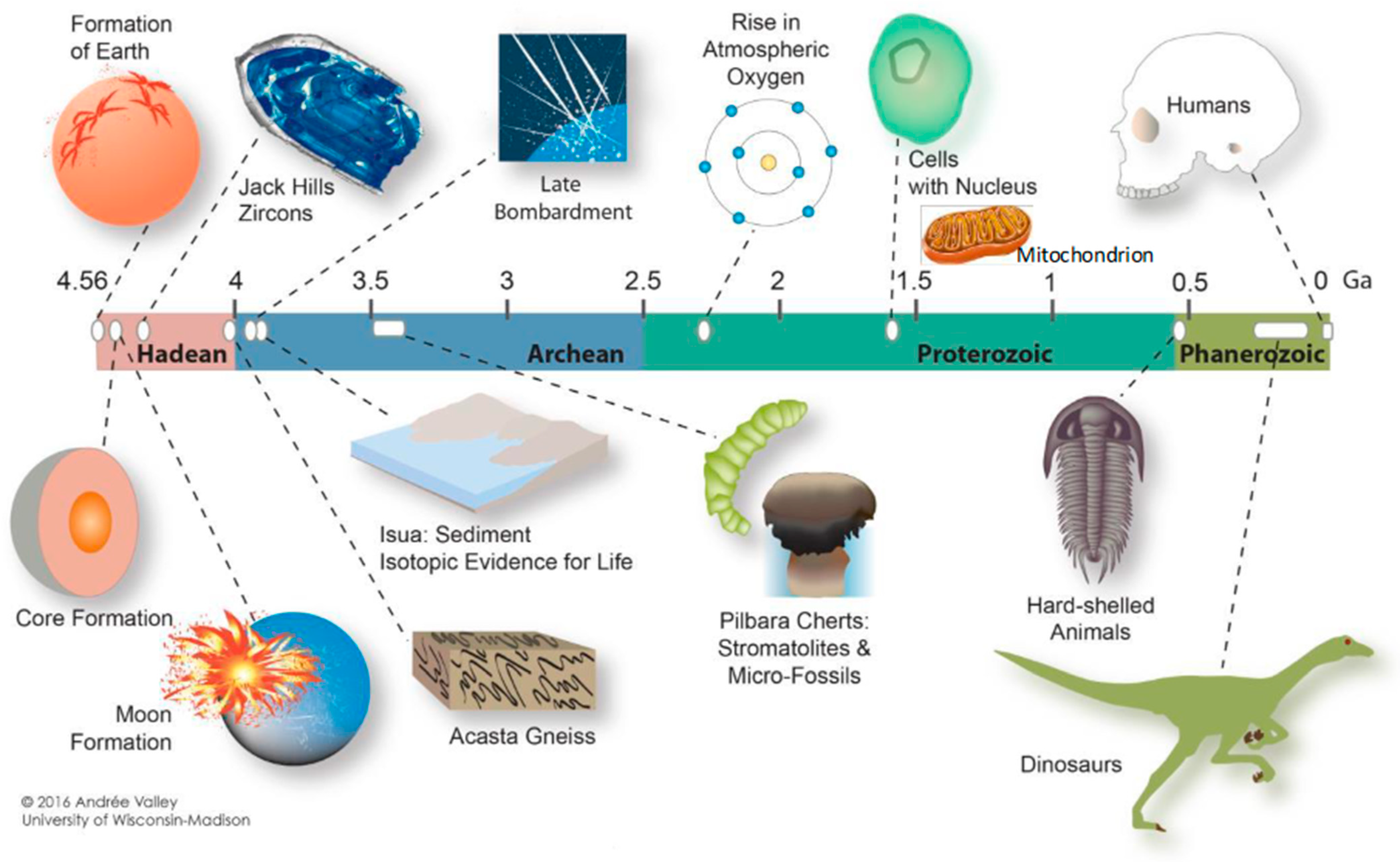Biomolecules 14 01317 g003 Biomolecules 14 01317 g003