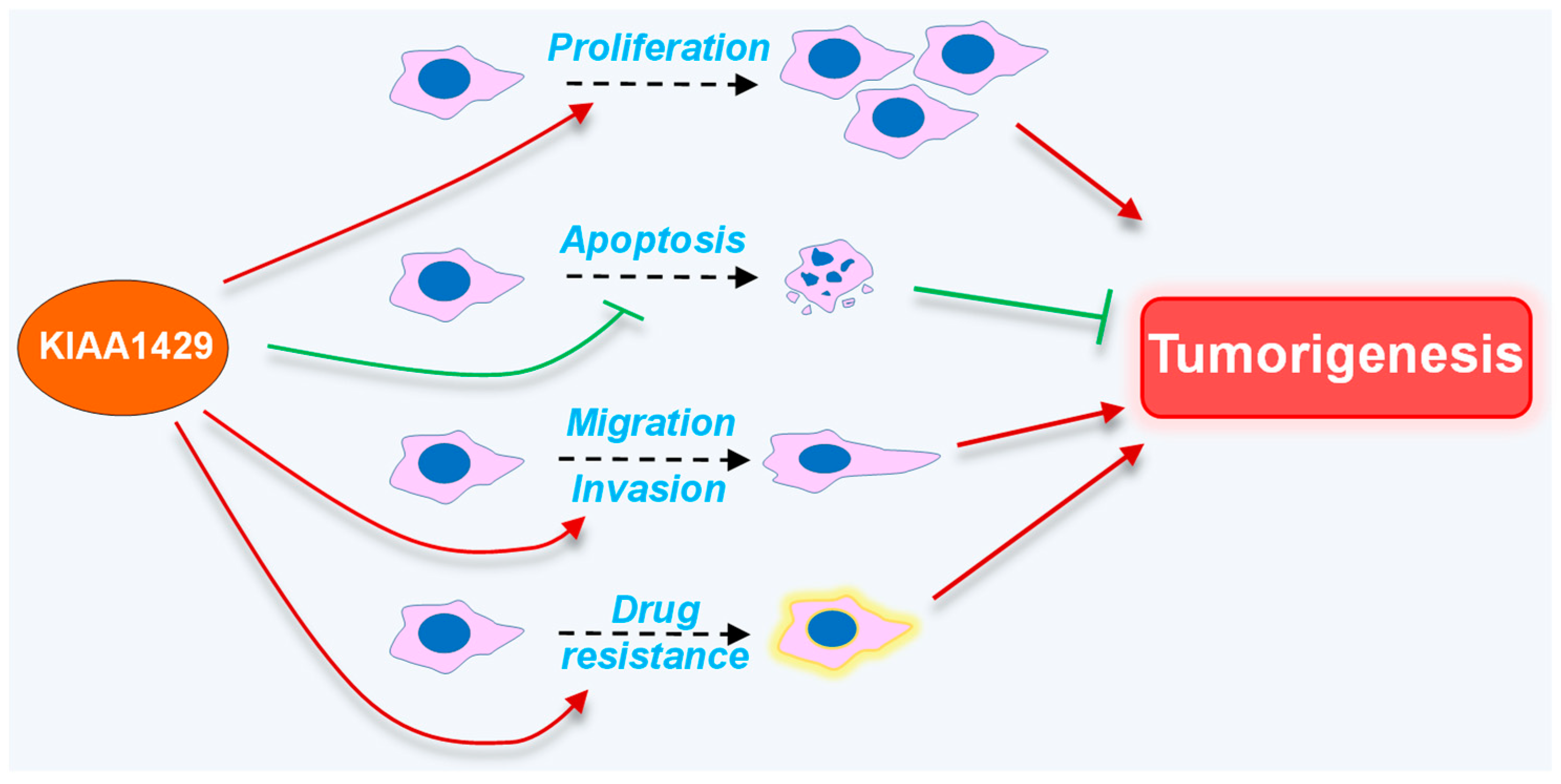 Biomolecules 14 01319 g002
