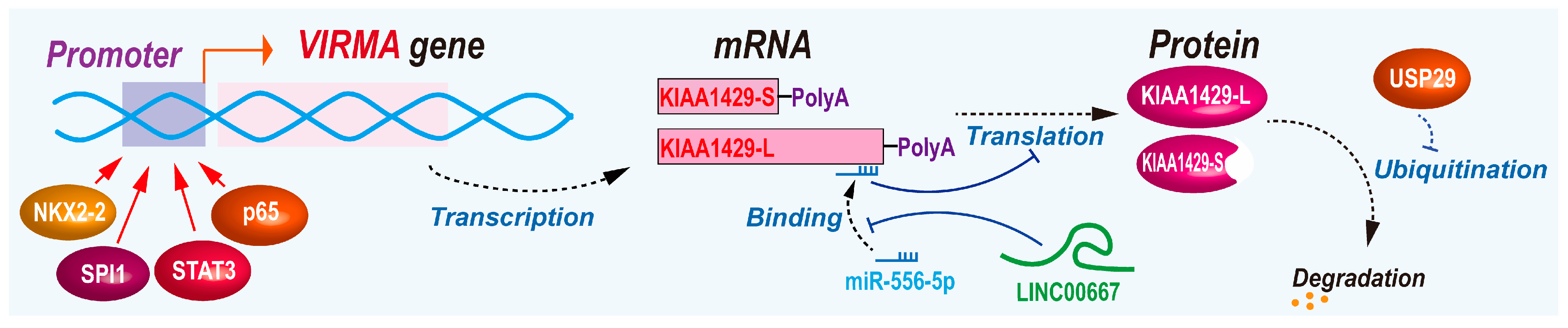 Biomolecules 14 01319 g004