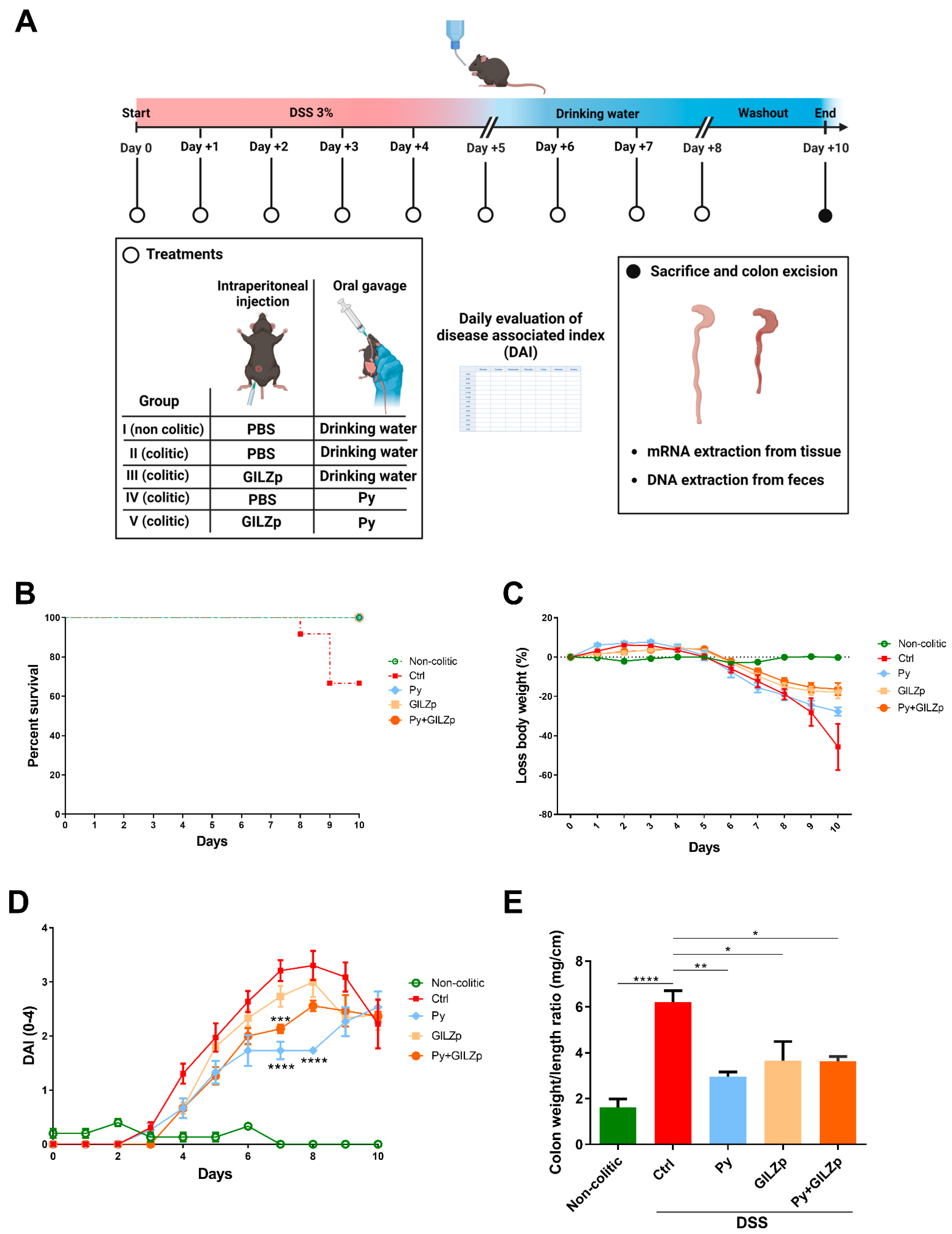 Biomolecules 14 01321 g001