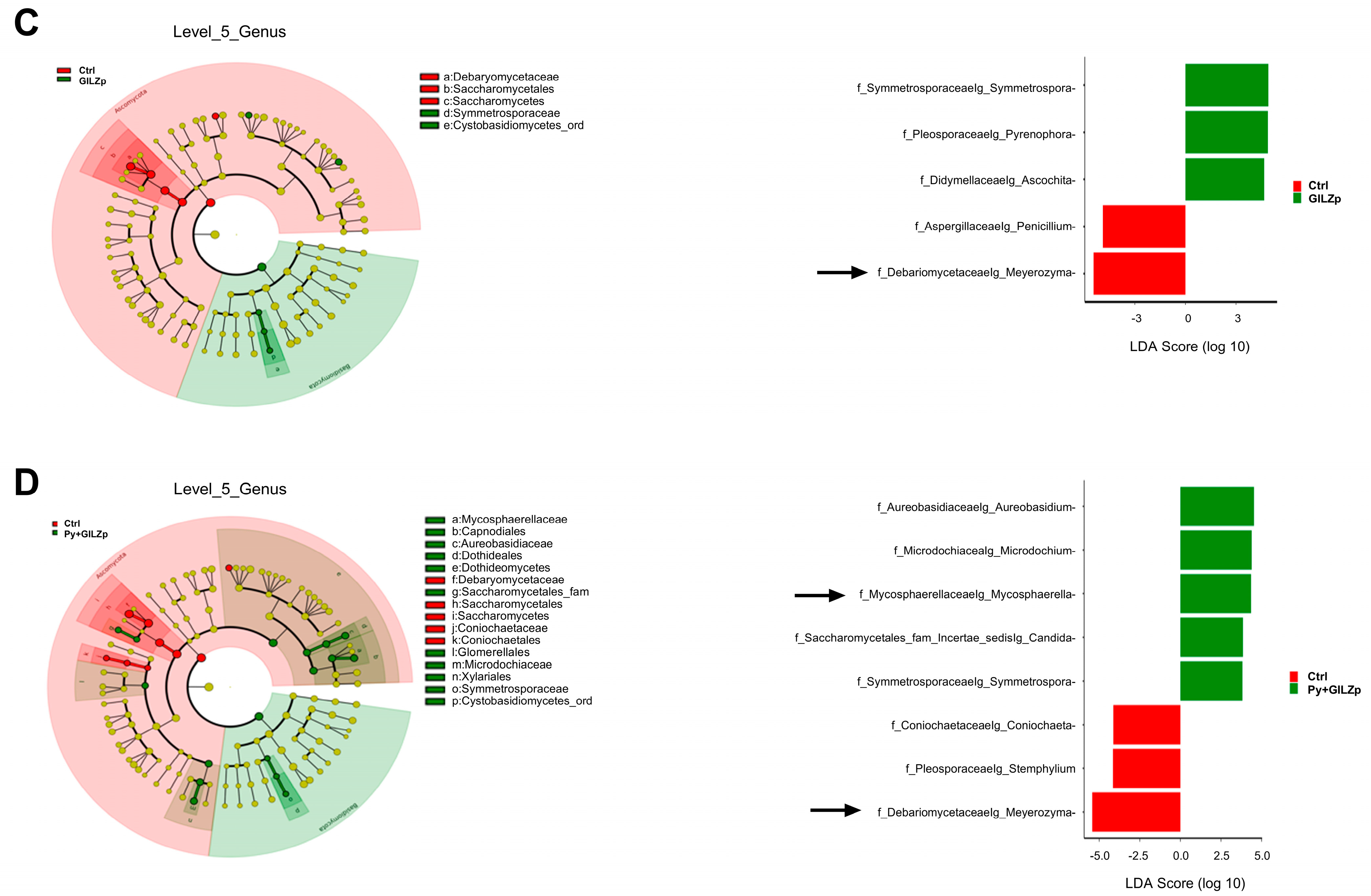 Biomolecules 14 01321 g006b
