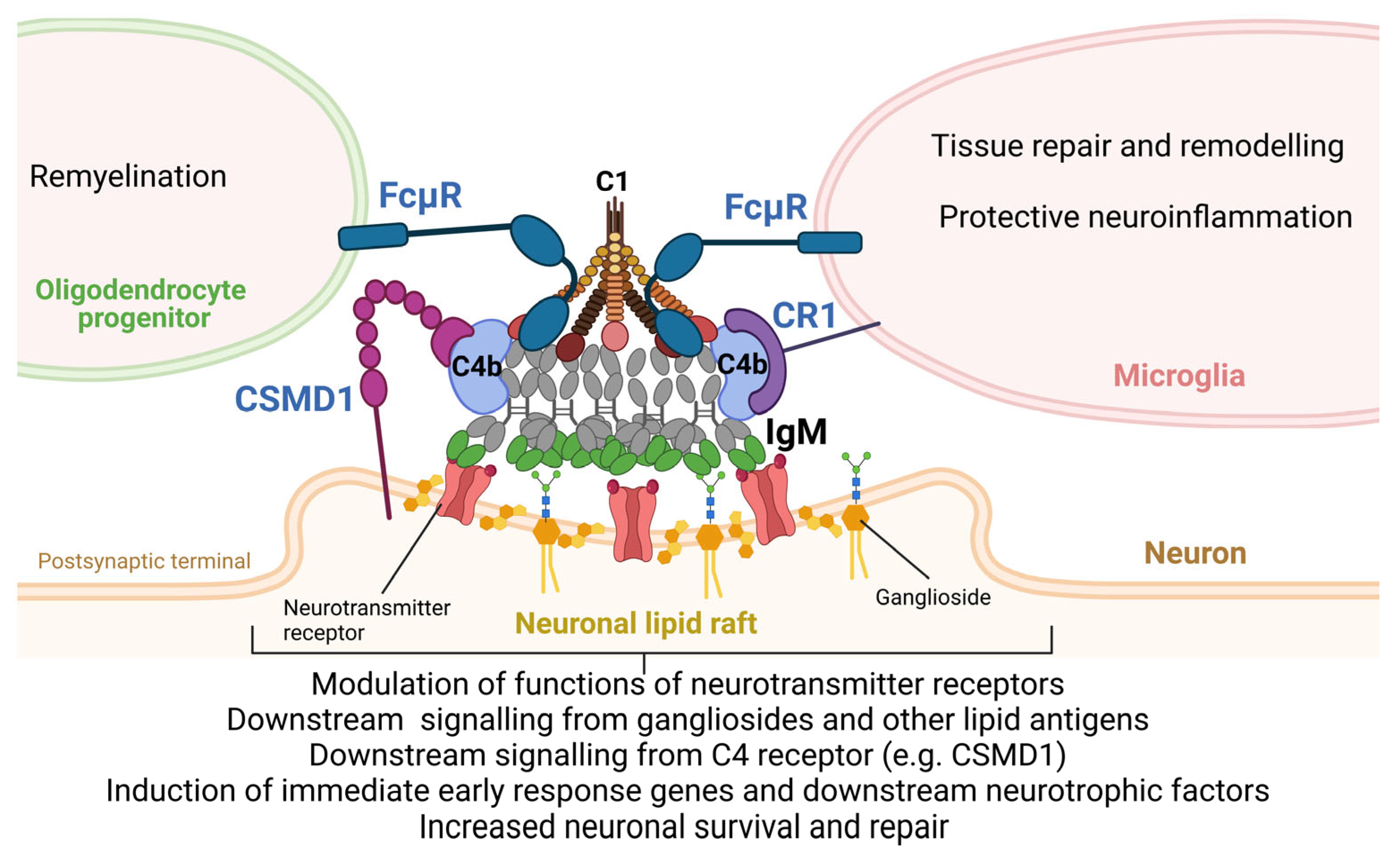 Biomolecules 14 01323 g001 Biomolecules 14 01323 g001