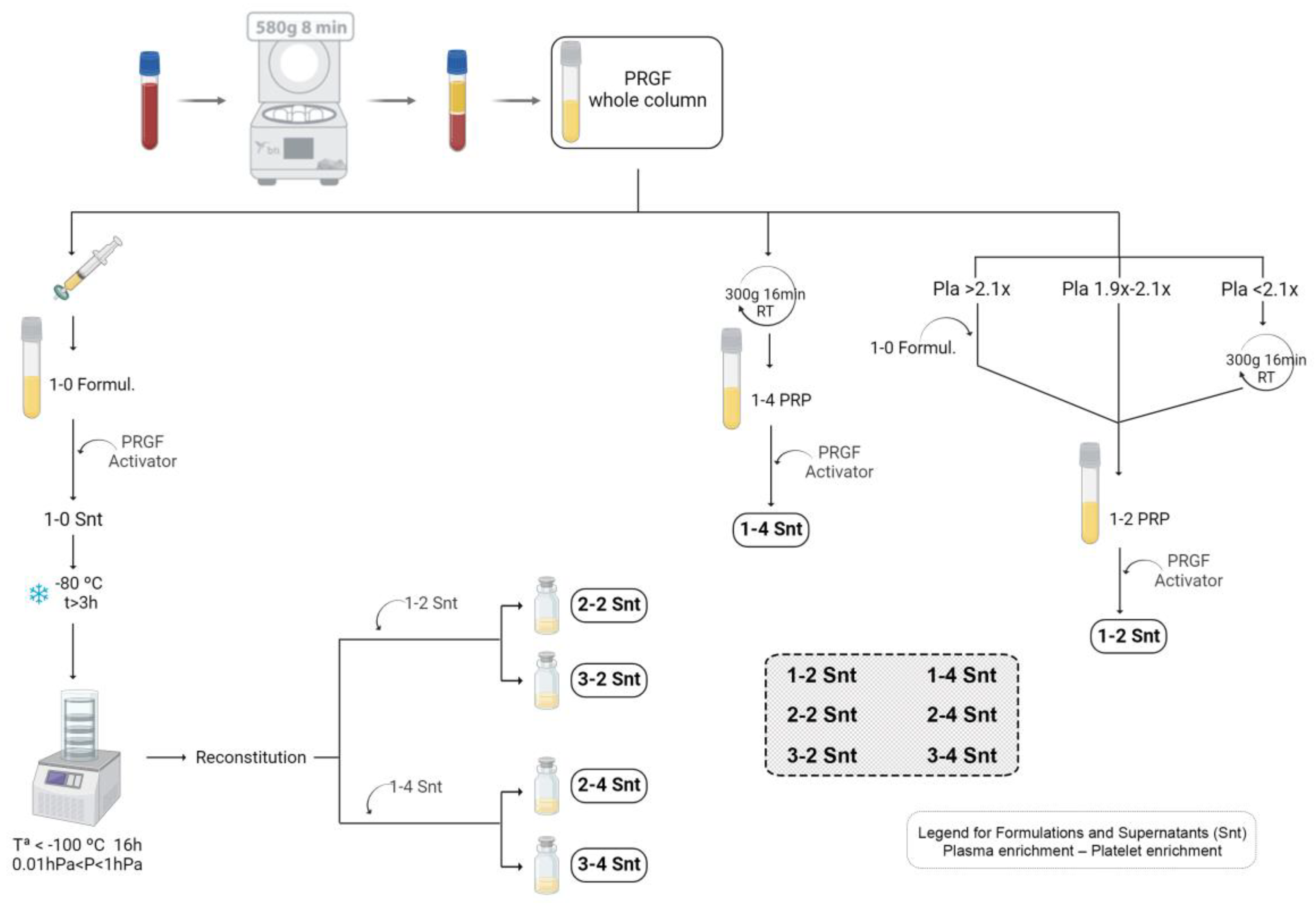 Biomolecules 14 01328 g001