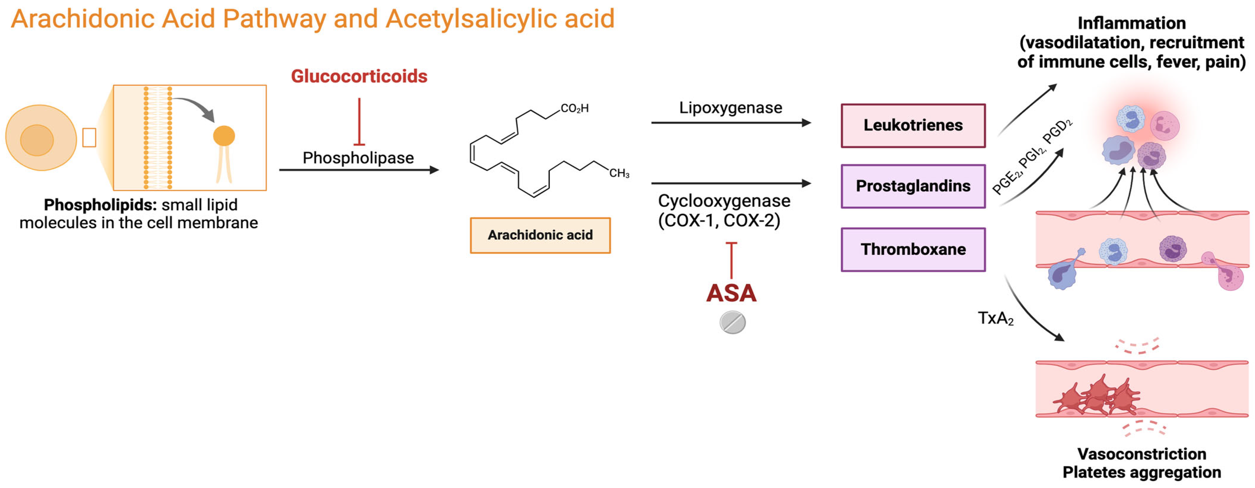 Biomolecules 14 01329 g001 Biomolecules 14 01329 g001