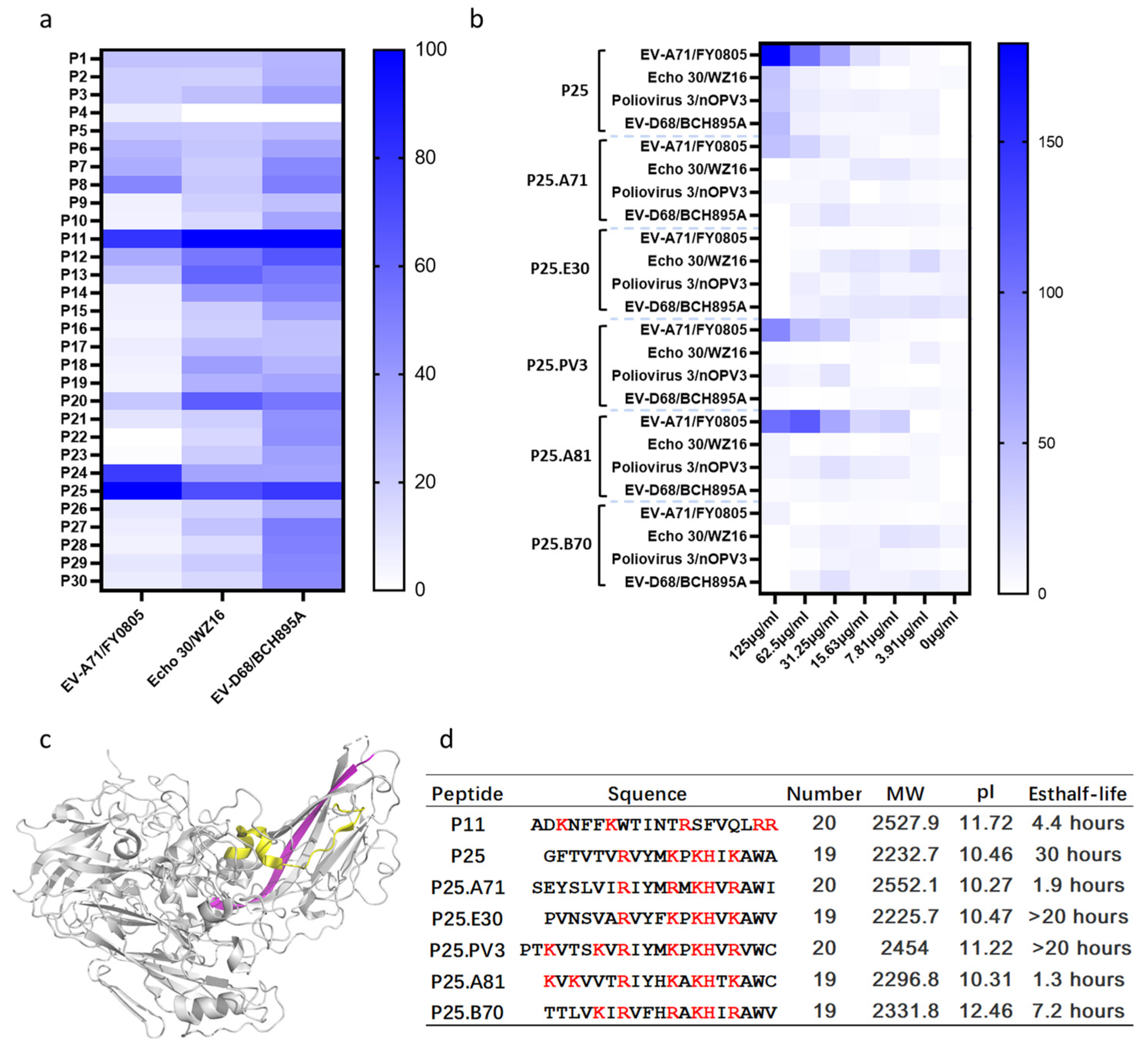A Novel Peptide from VP1 of EV D68 Exhibits Broad Spectrum Antiviral Activity Against Human Enteroviruses