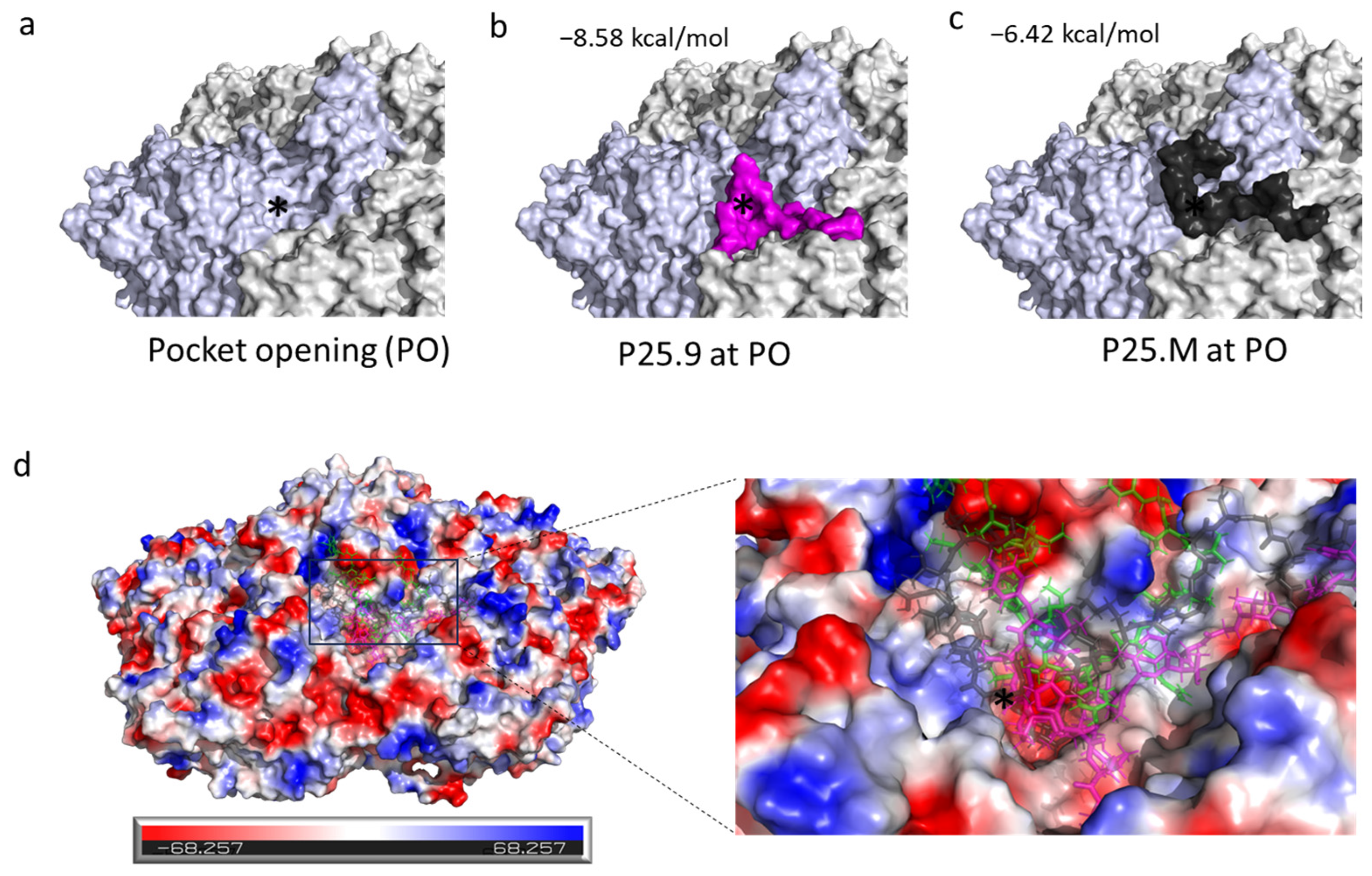 Biomolecules 14 01331 g006