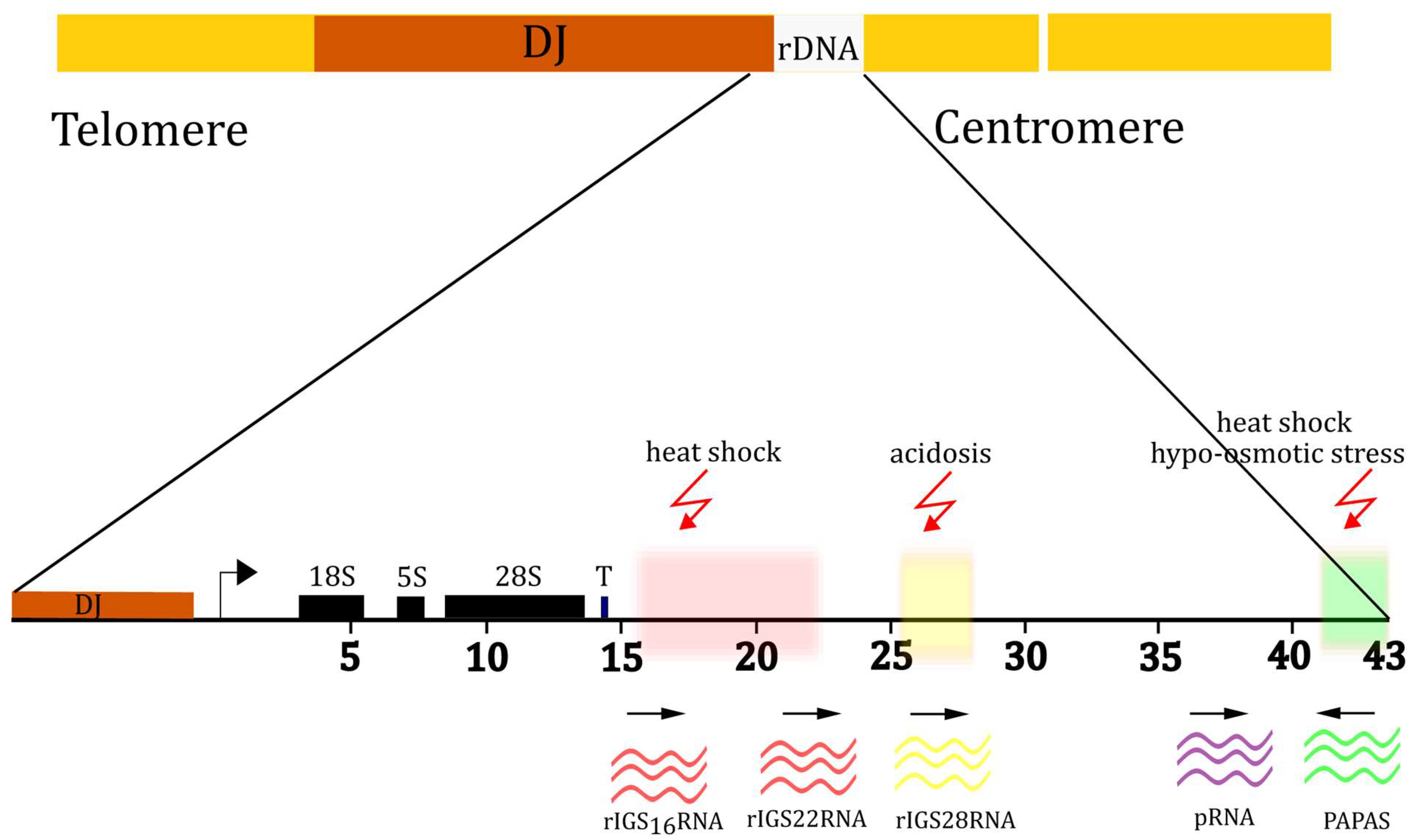 Biomolecules 14 01333 g001