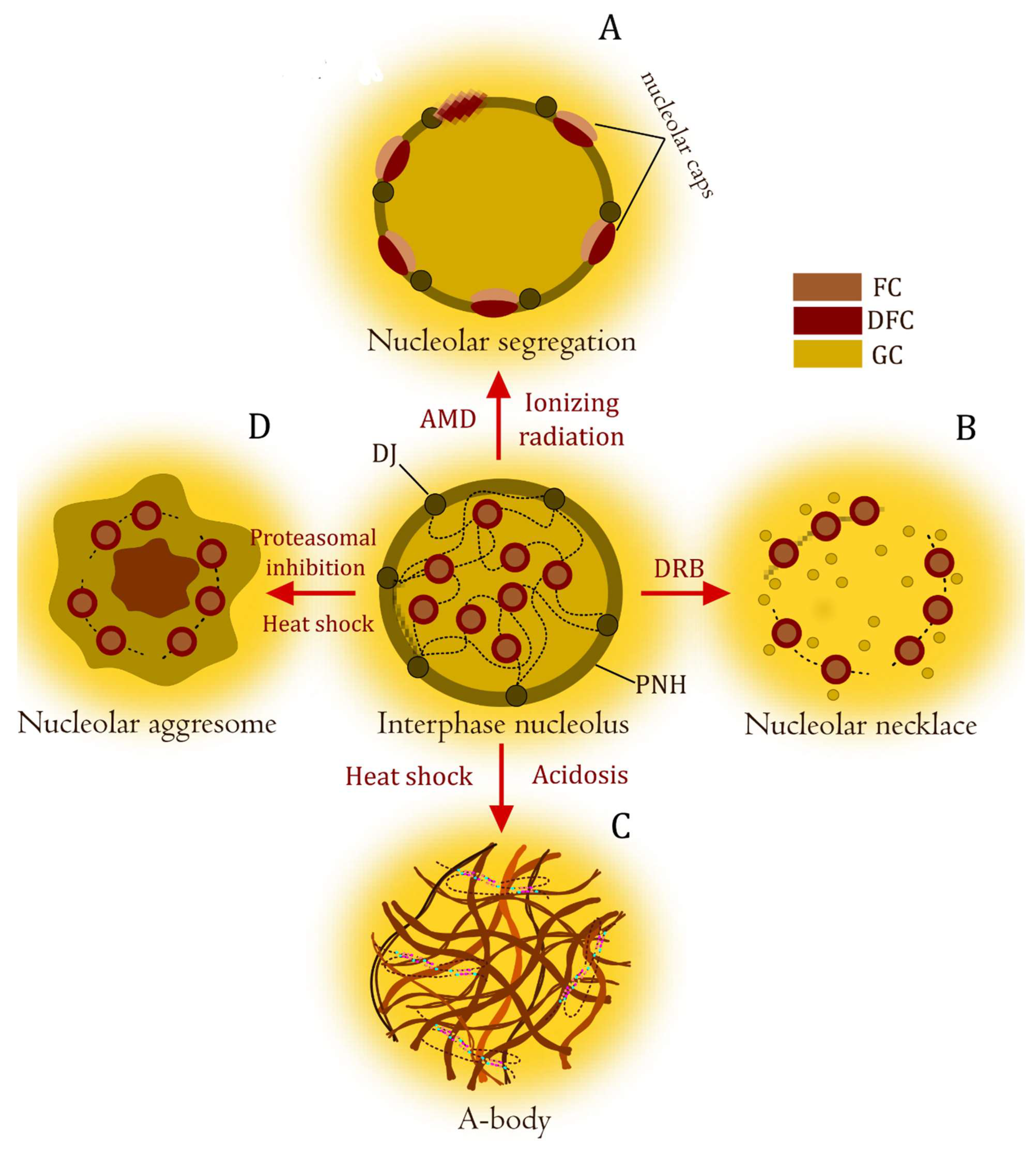 Biomolecules 14 01333 g002