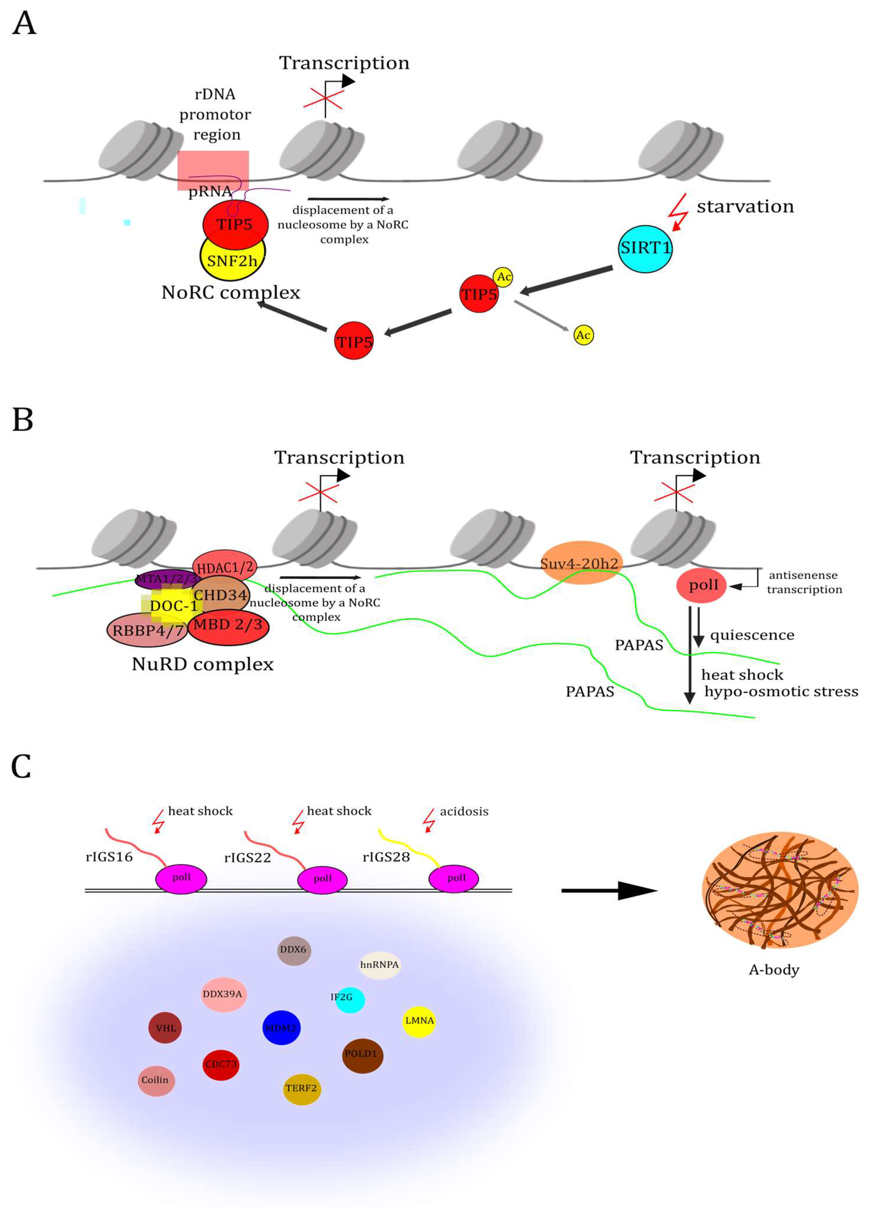 Biomolecules 14 01333 g003