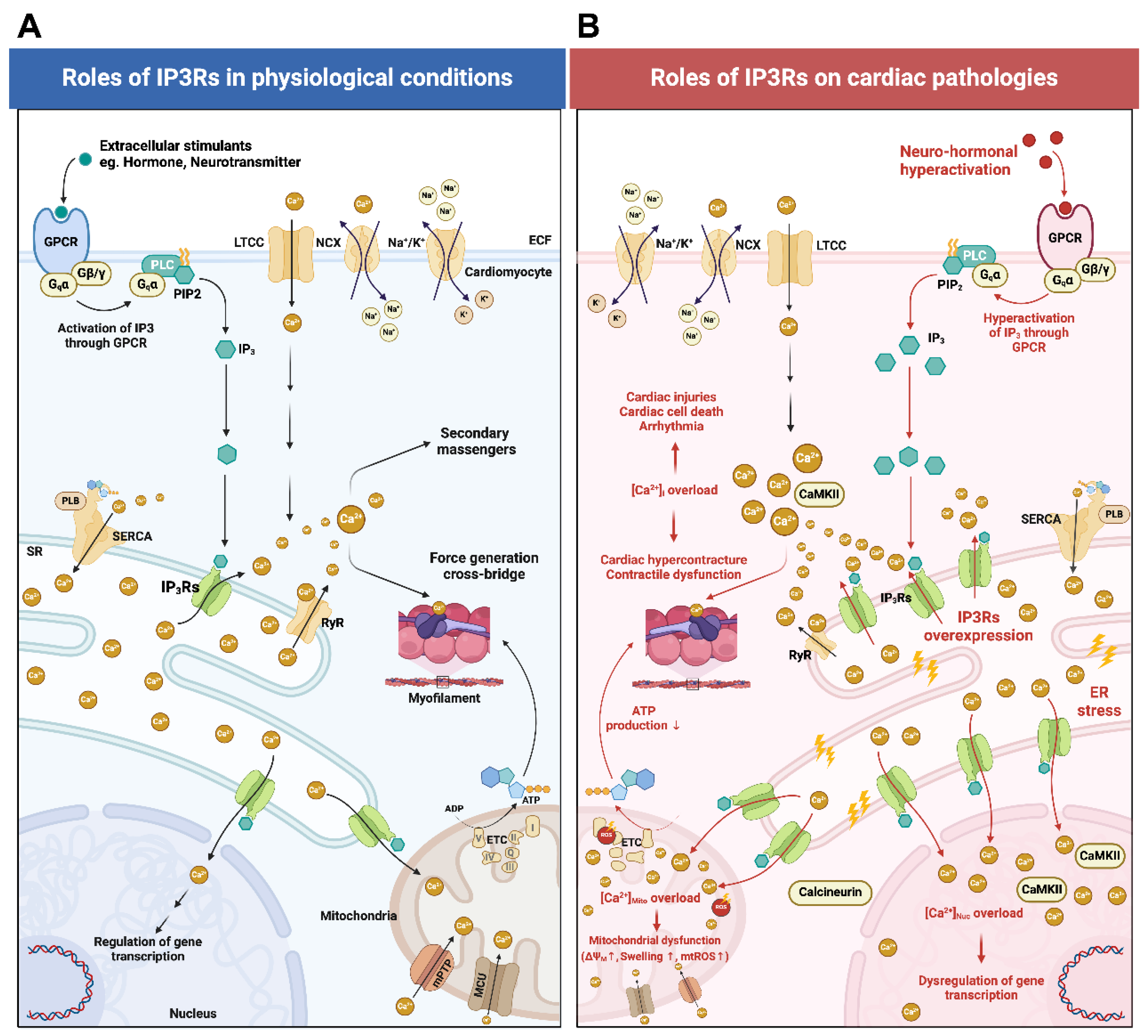 Biomolecules 14 01334 g001 Biomolecules 14 01334 g001
