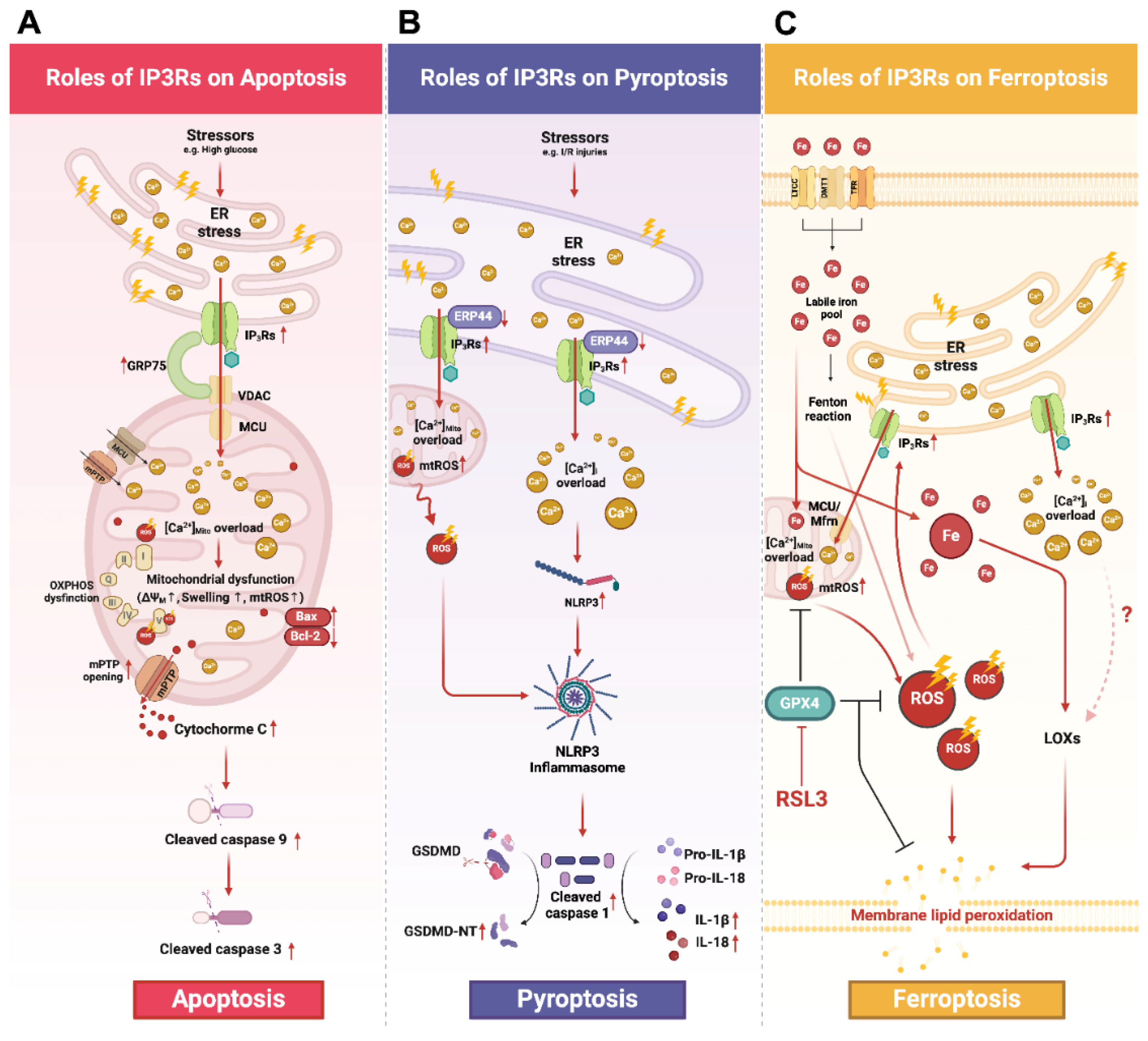 Biomolecules 14 01334 g002 Biomolecules 14 01334 g002