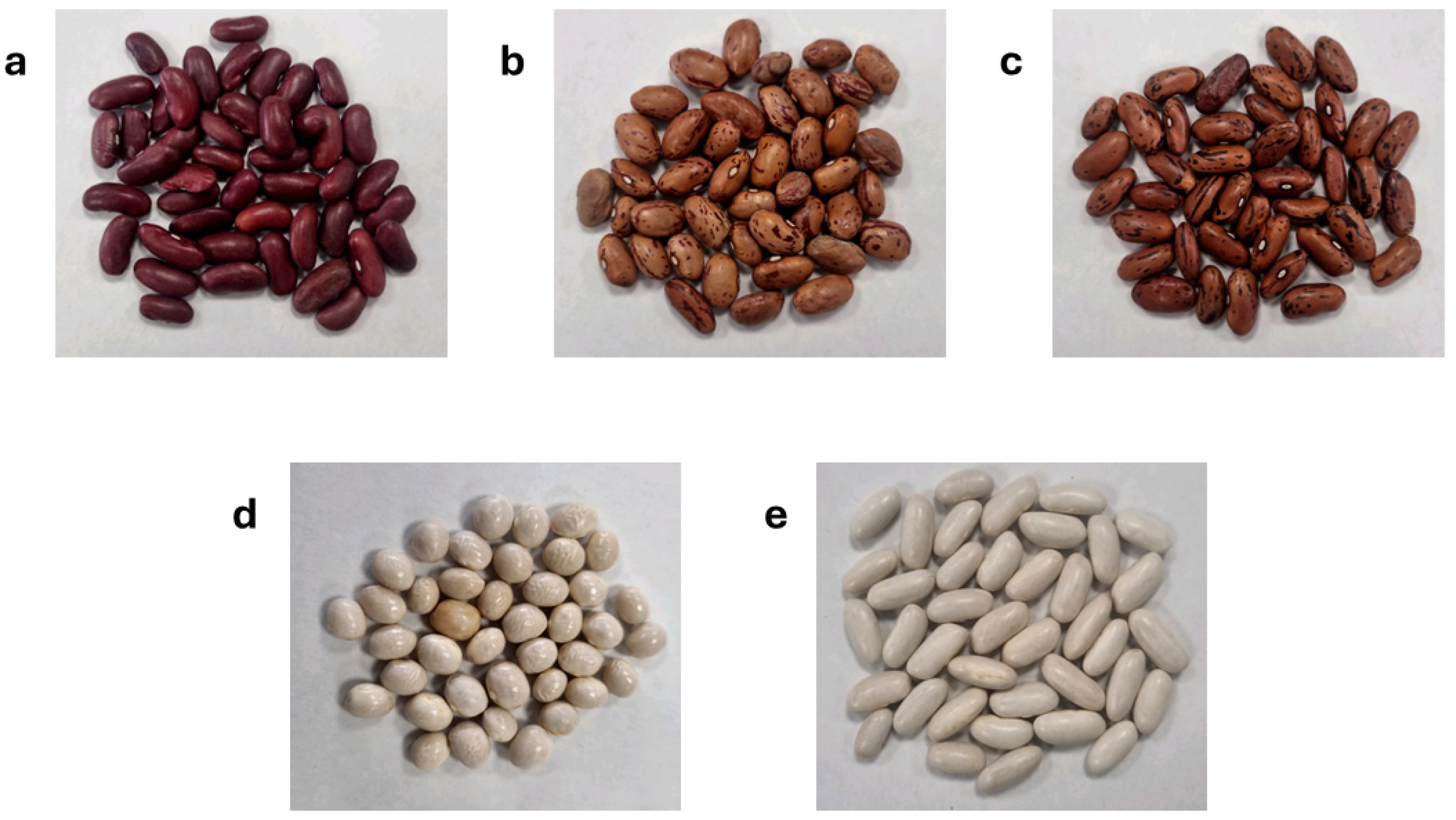 Biomolecules 14 01336 g001 Biomolecules 14 01336 g001