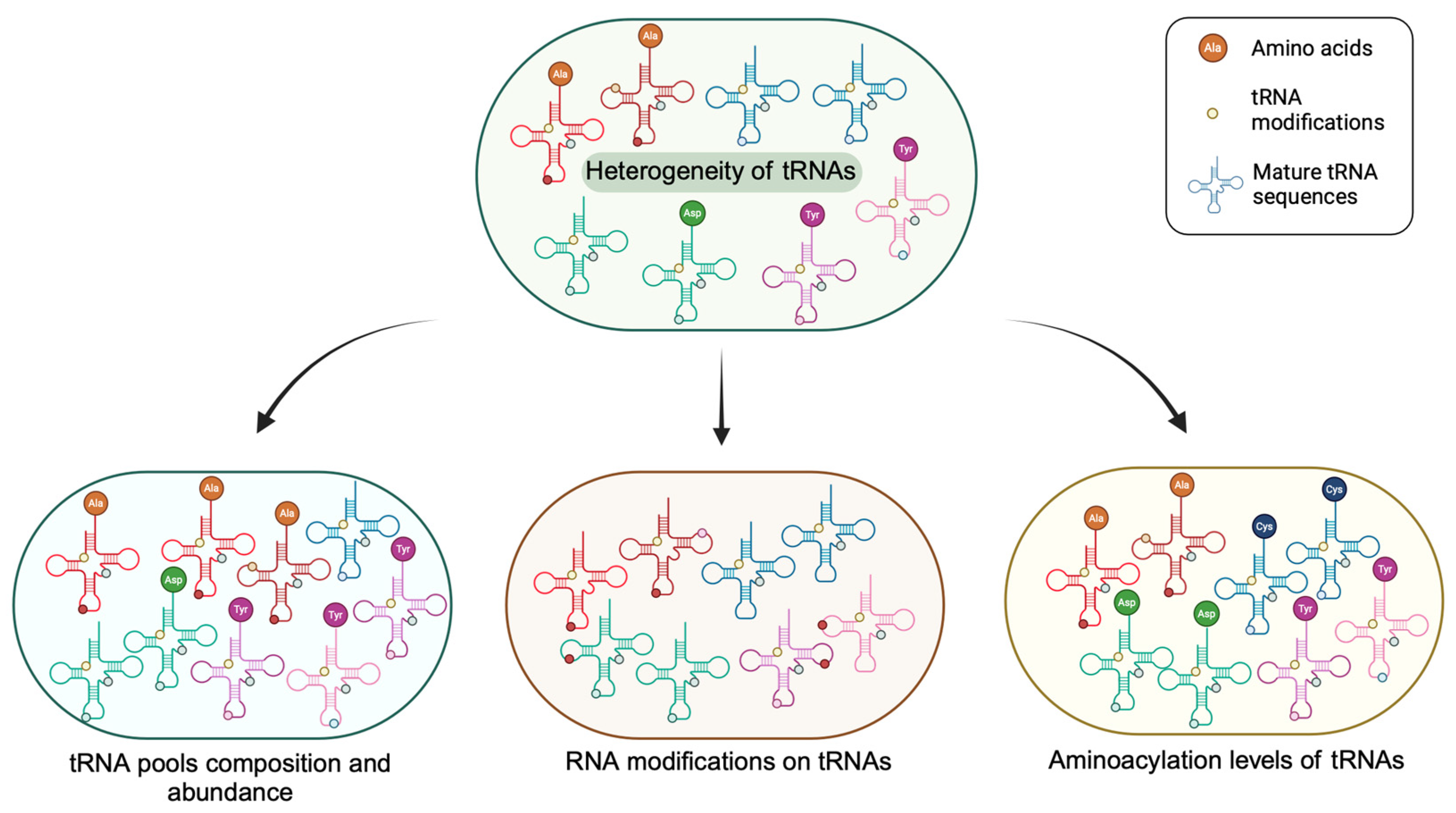 Biomolecules 14 01340 g001