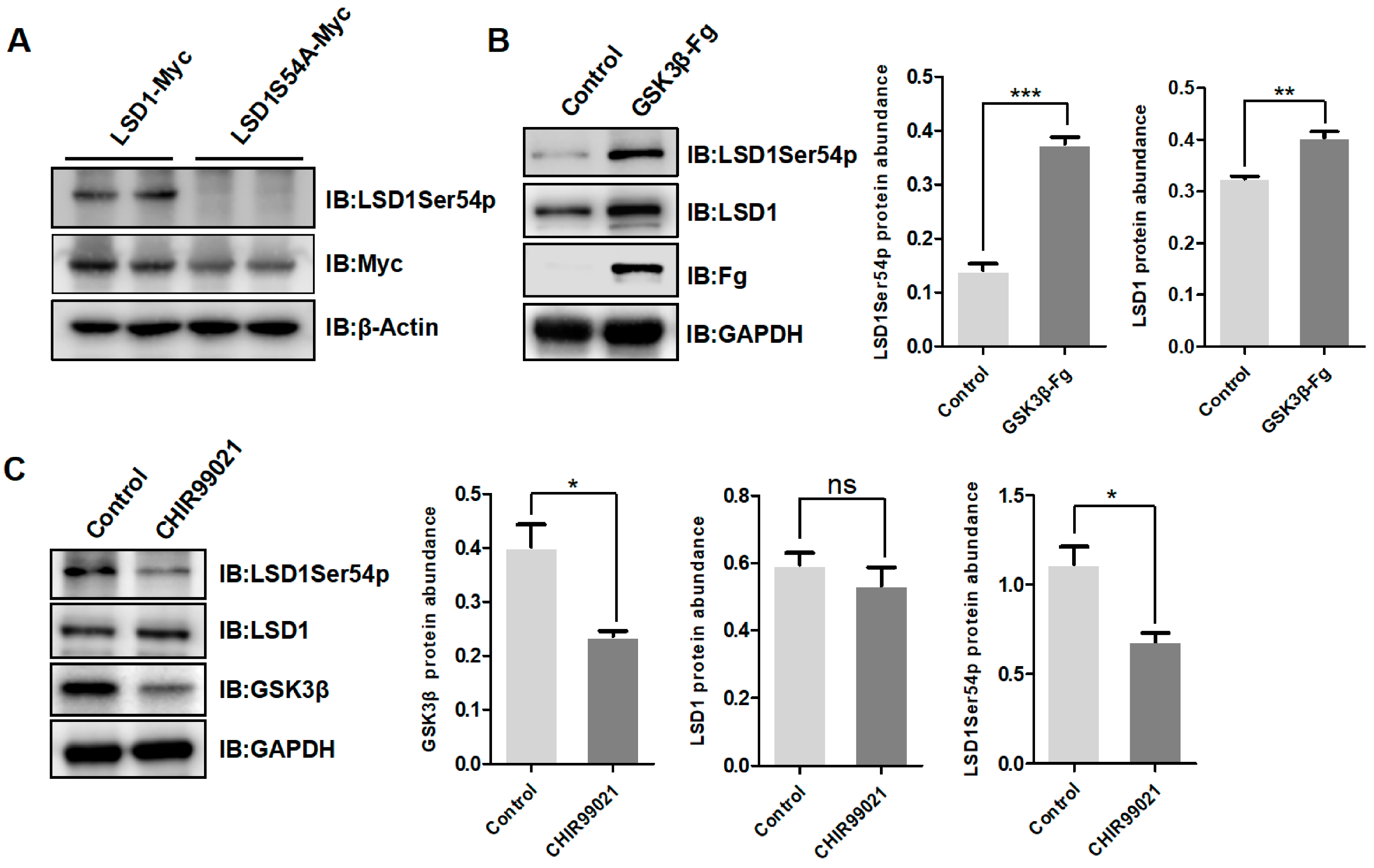 Biomolecules 14 01343 g001