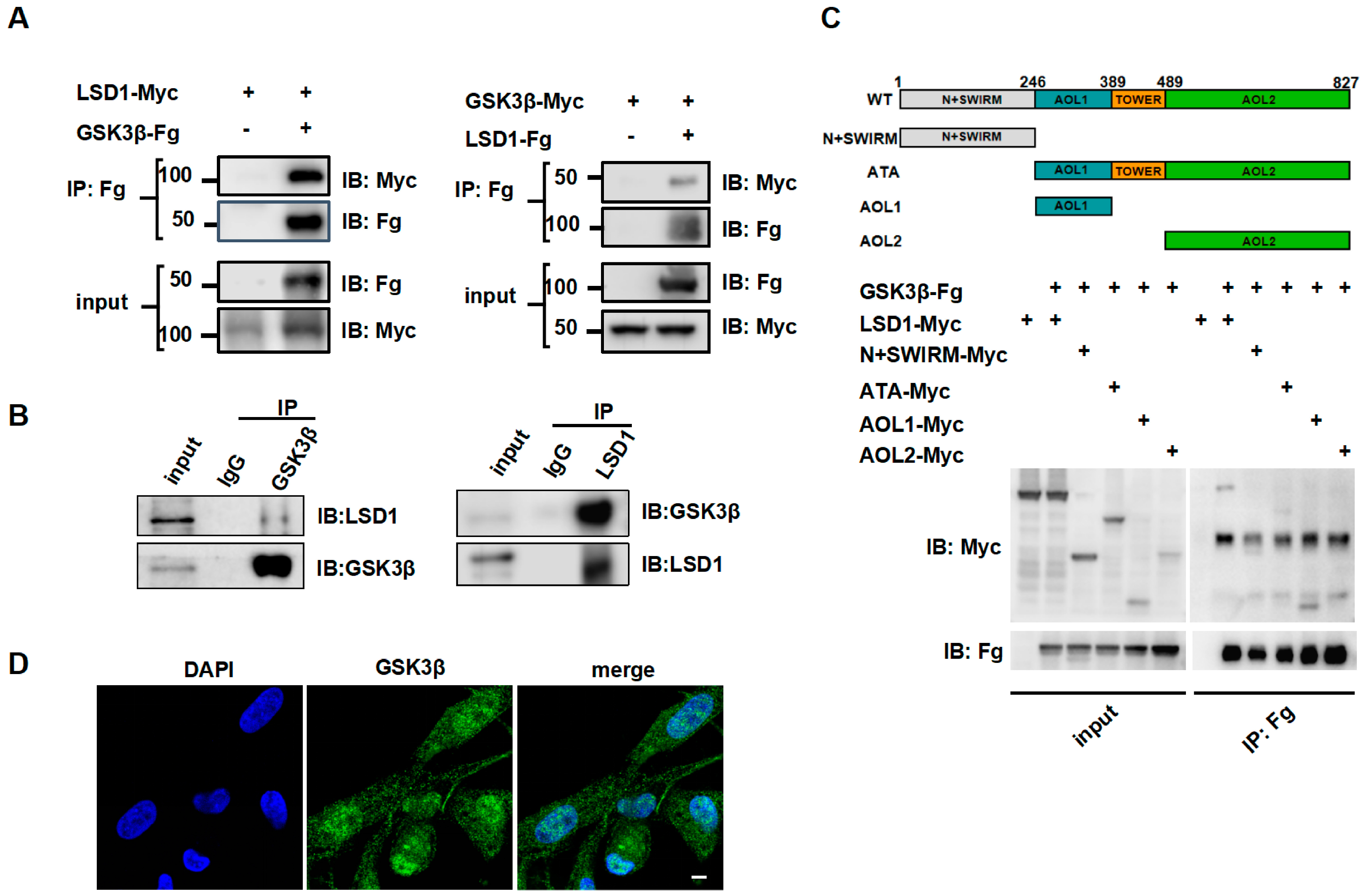 Biomolecules 14 01343 g002
