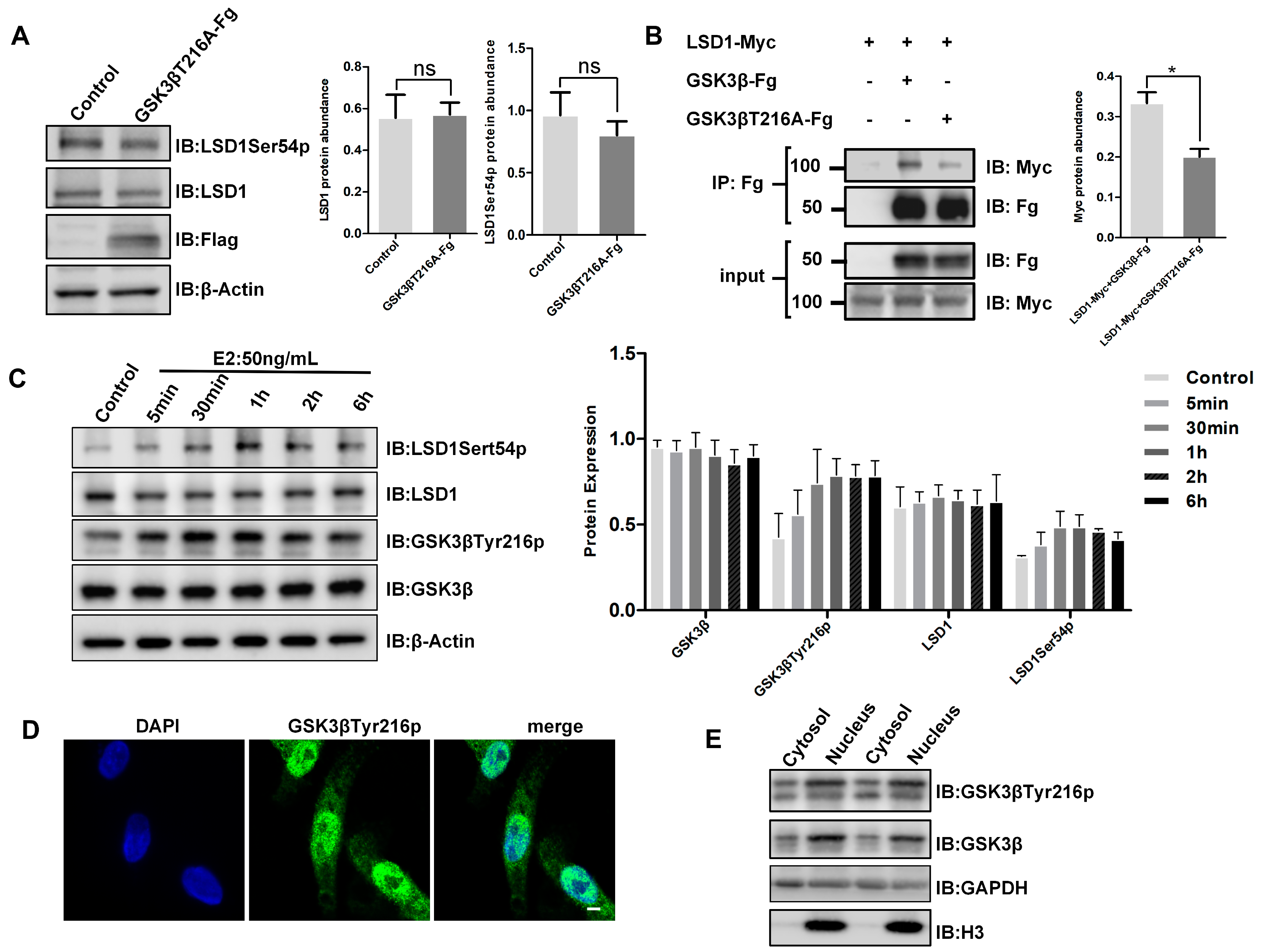 Biomolecules 14 01343 g003