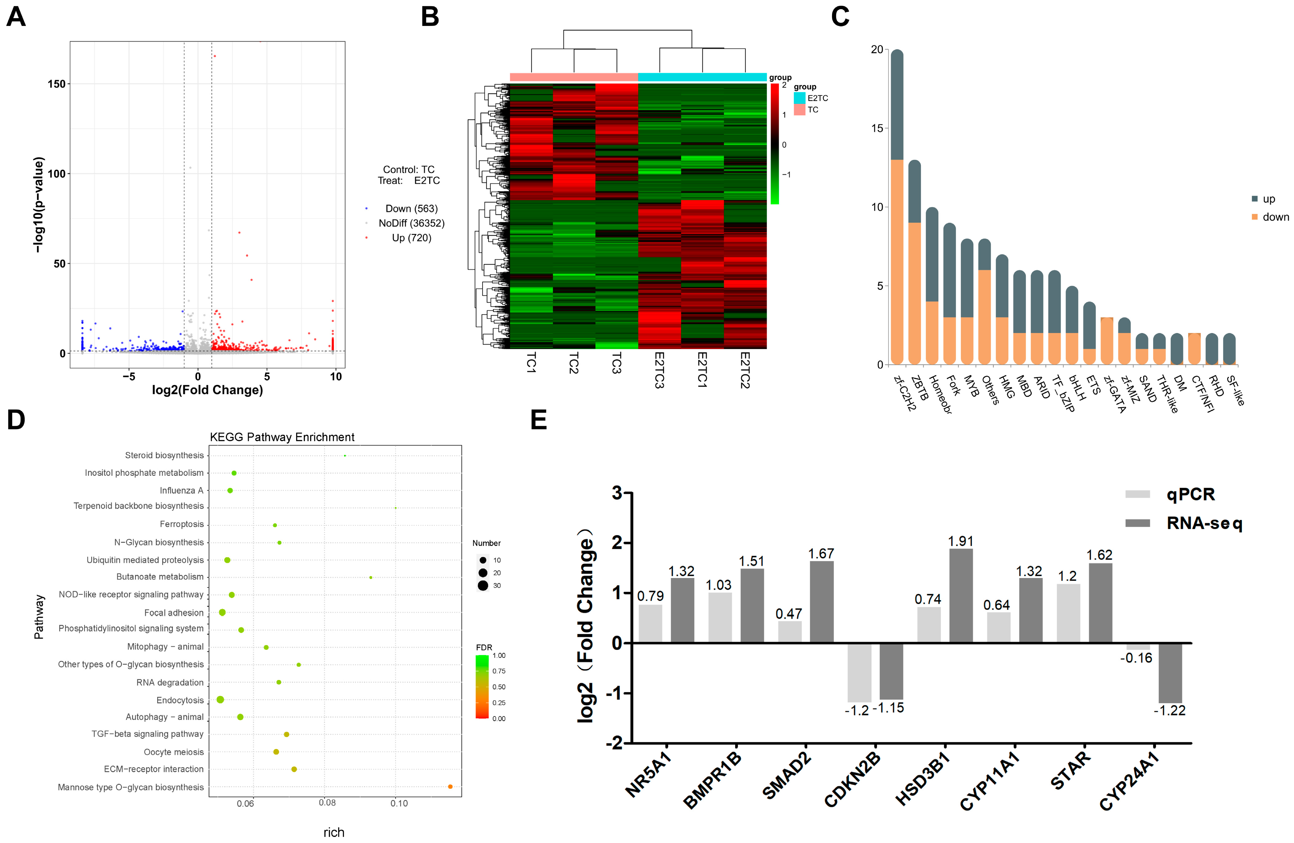 Biomolecules 14 01343 g004