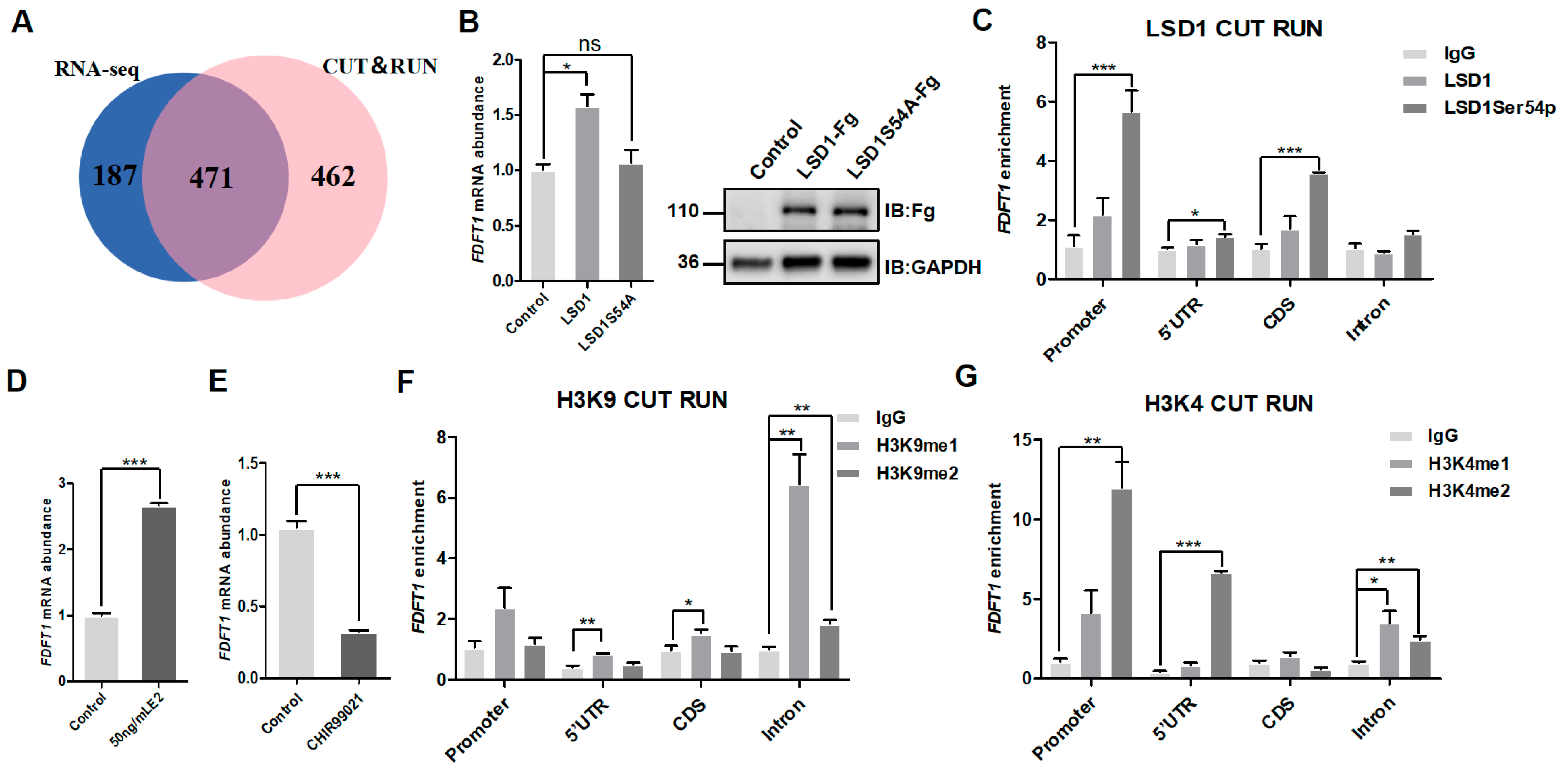 Biomolecules 14 01343 g006