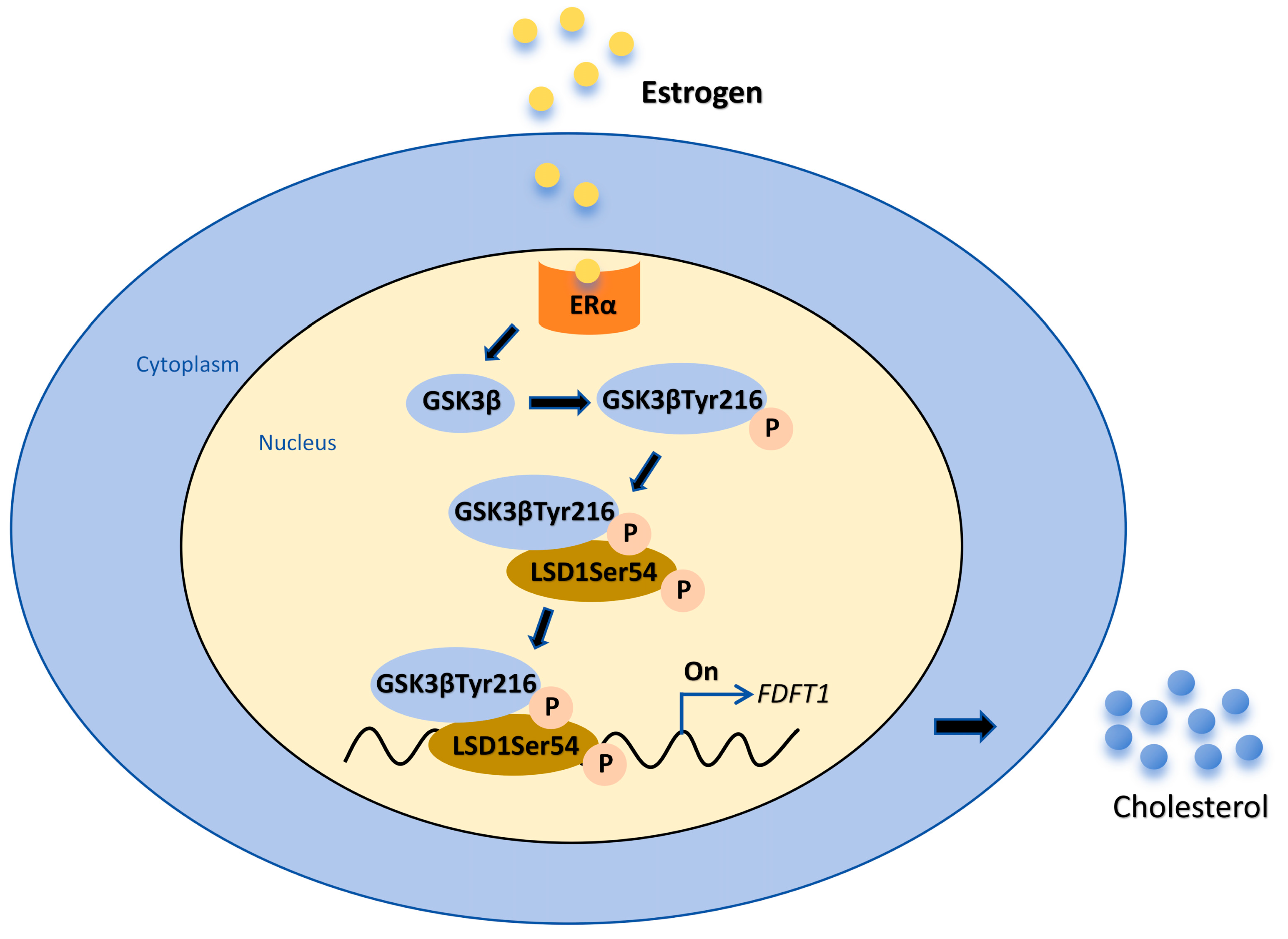 Biomolecules 14 01343 g008