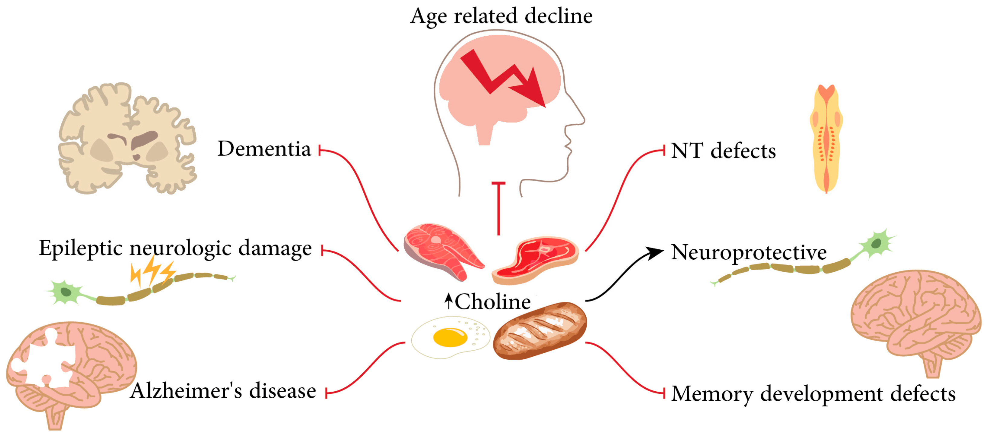Biomolecules 14 01345 g001 Biomolecules 14 01345 g001