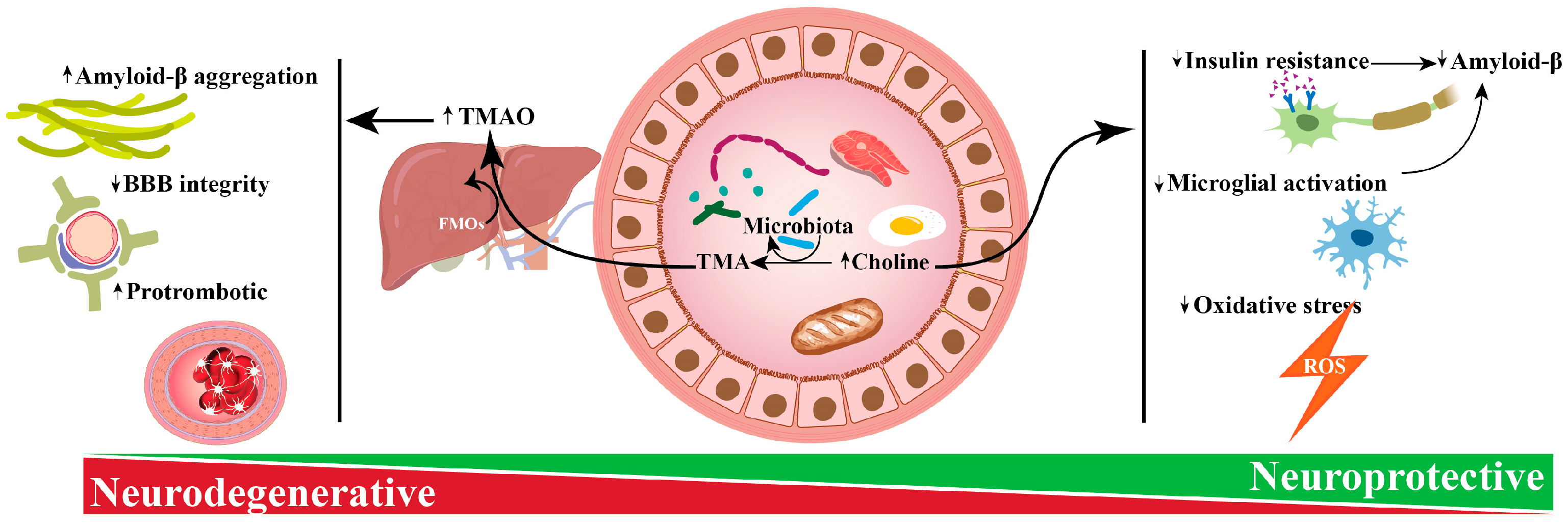 Biomolecules 14 01345 g002 Biomolecules 14 01345 g002