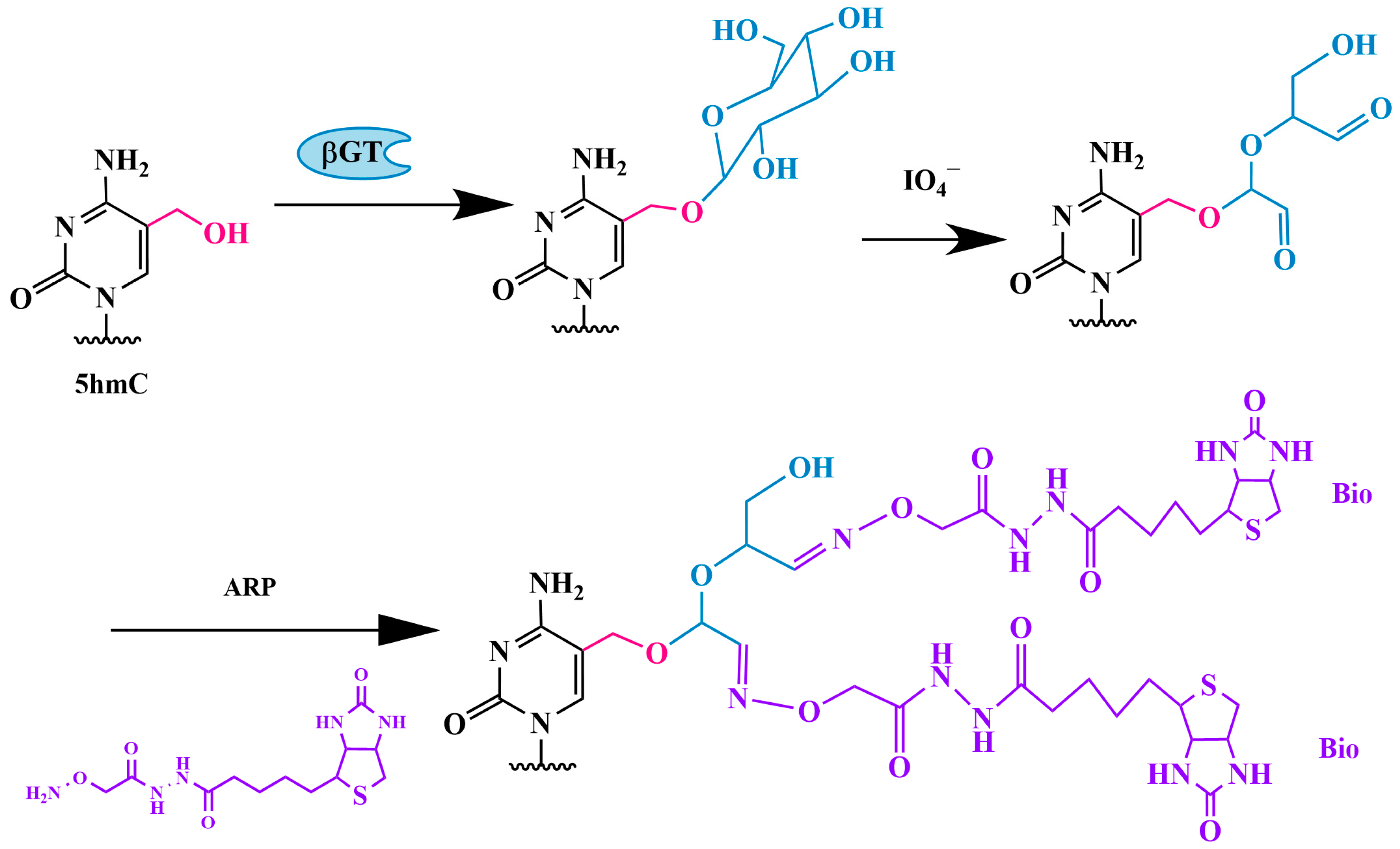Biomolecules 14 01346 g005