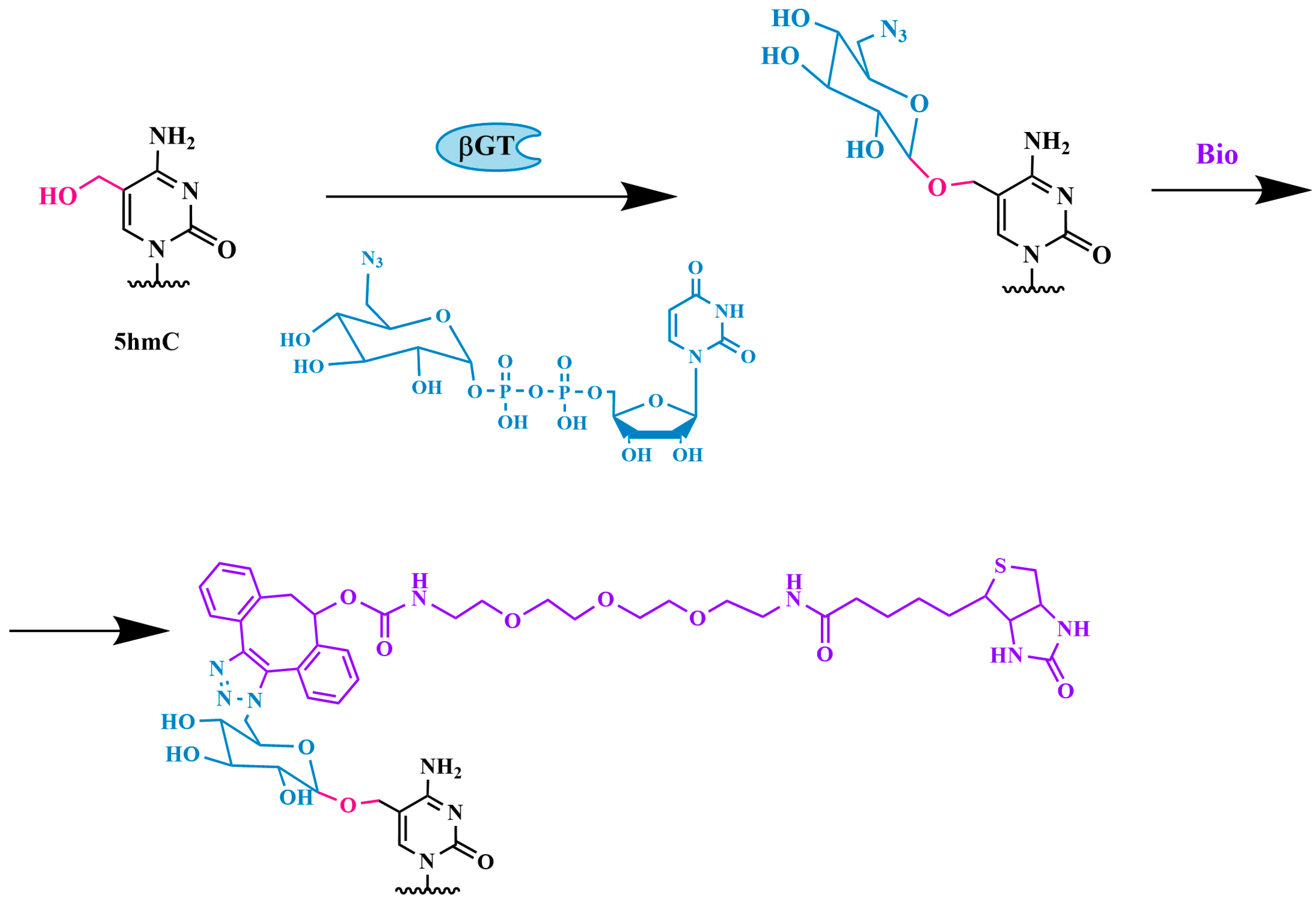 Biomolecules 14 01346 g006