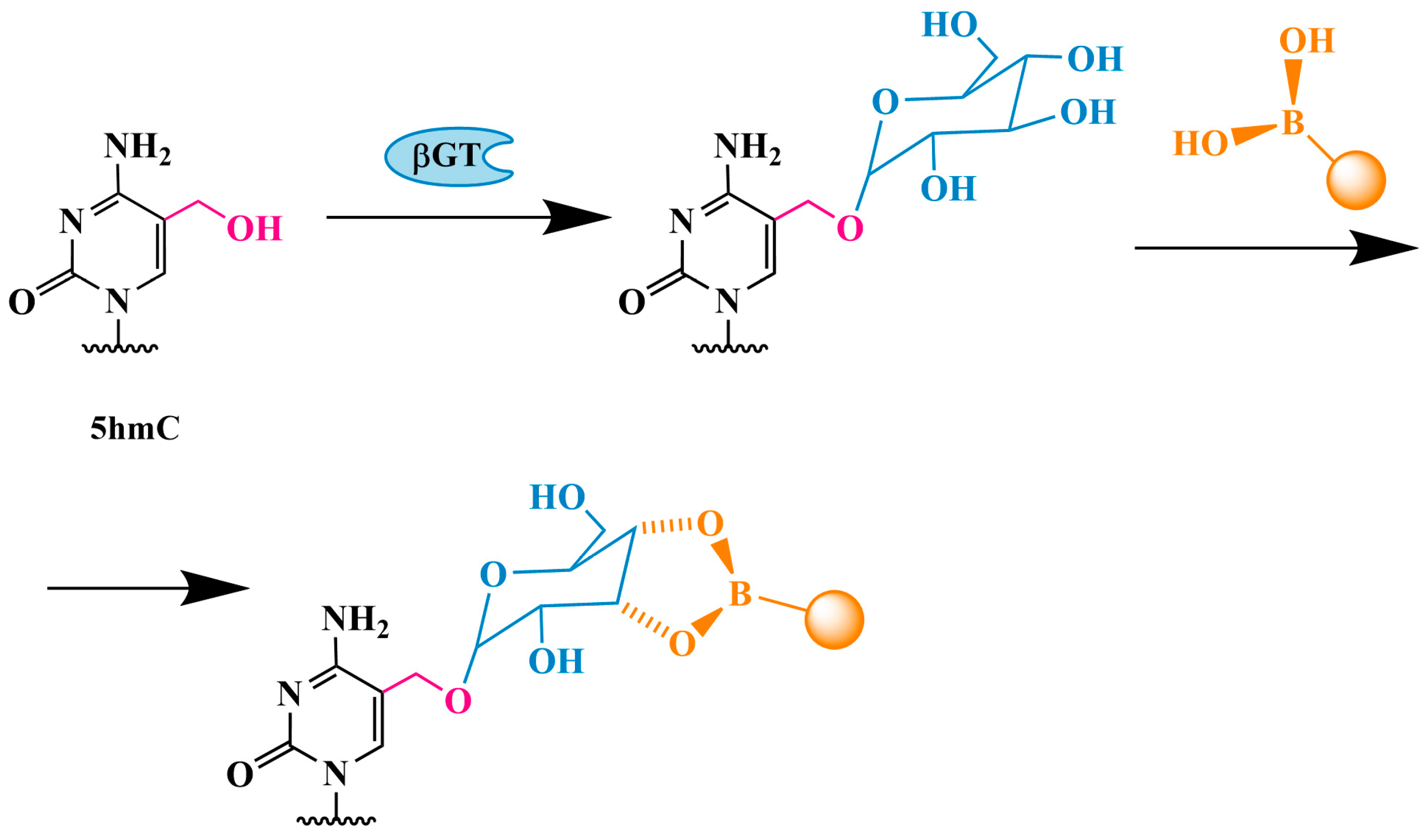 Biomolecules 14 01346 g007