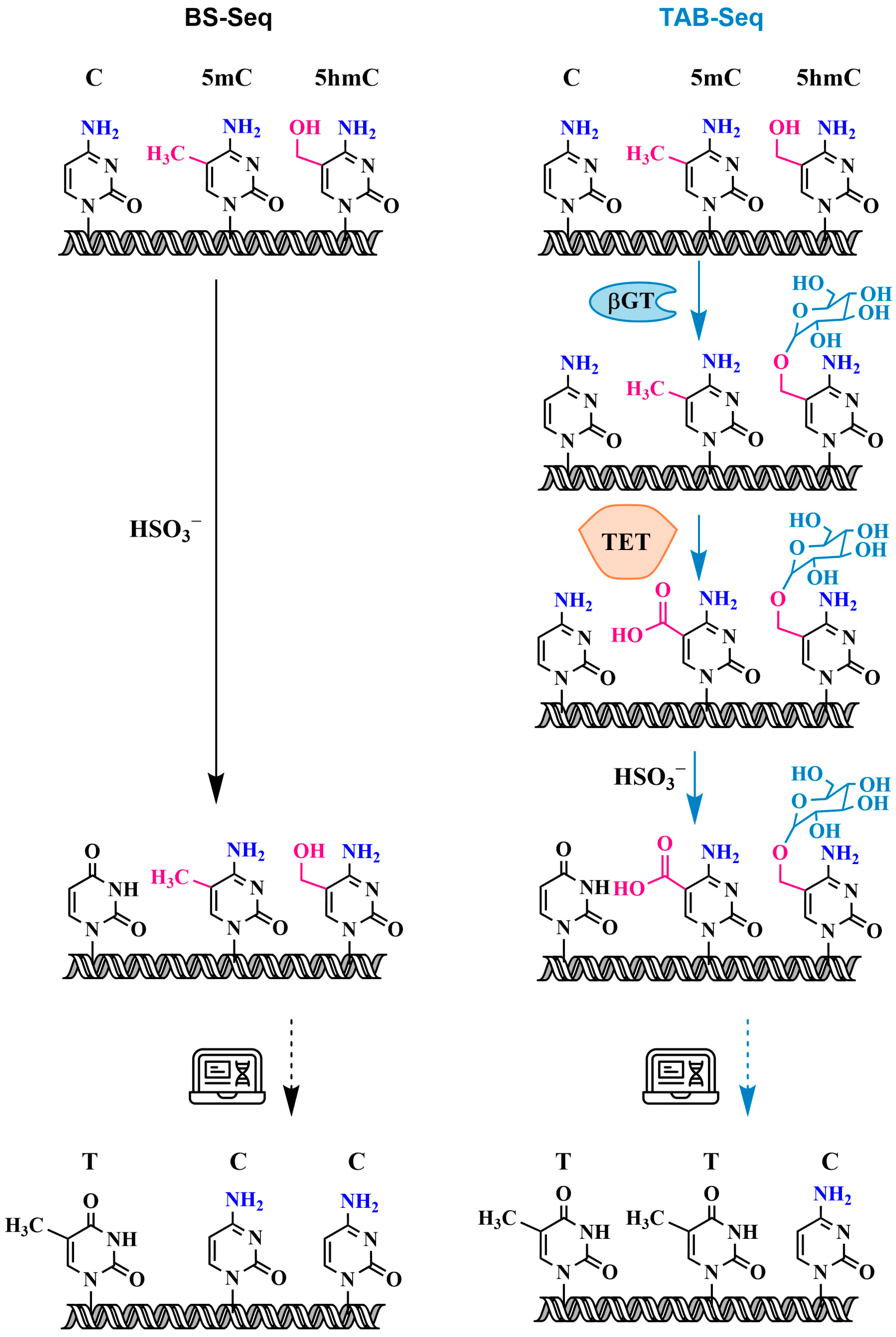 Biomolecules 14 01346 g010
