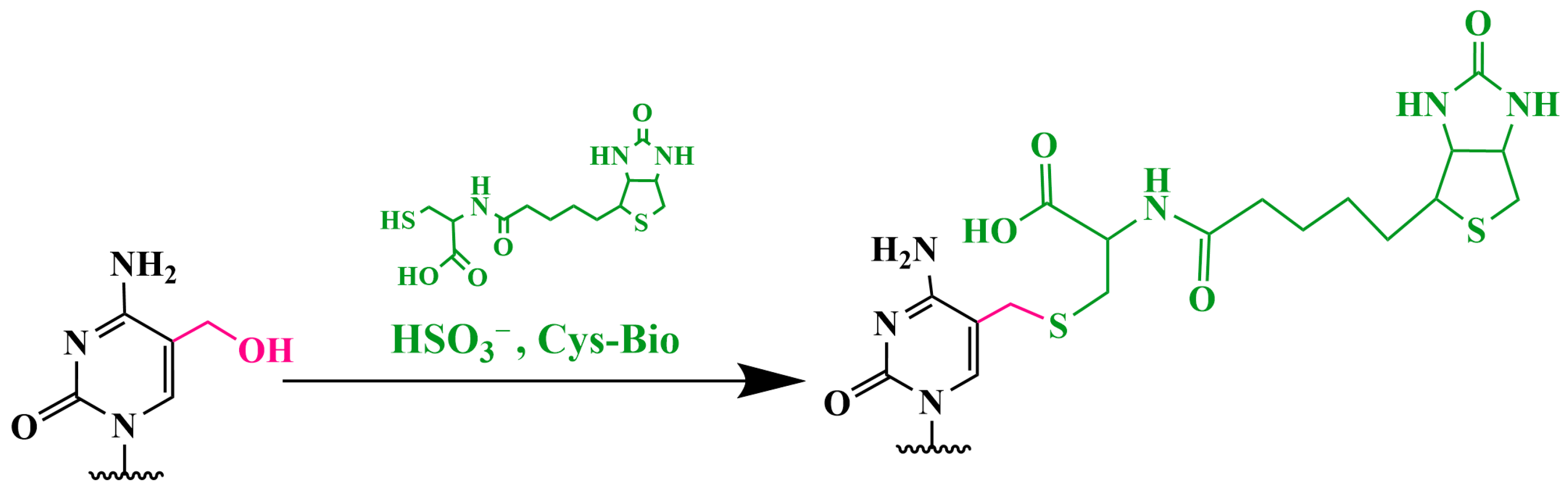 Biomolecules 14 01346 g013