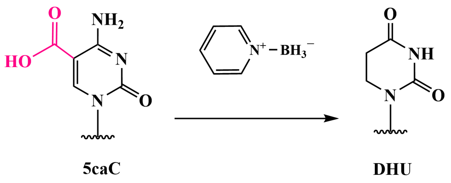 Biomolecules 14 01346 g014
