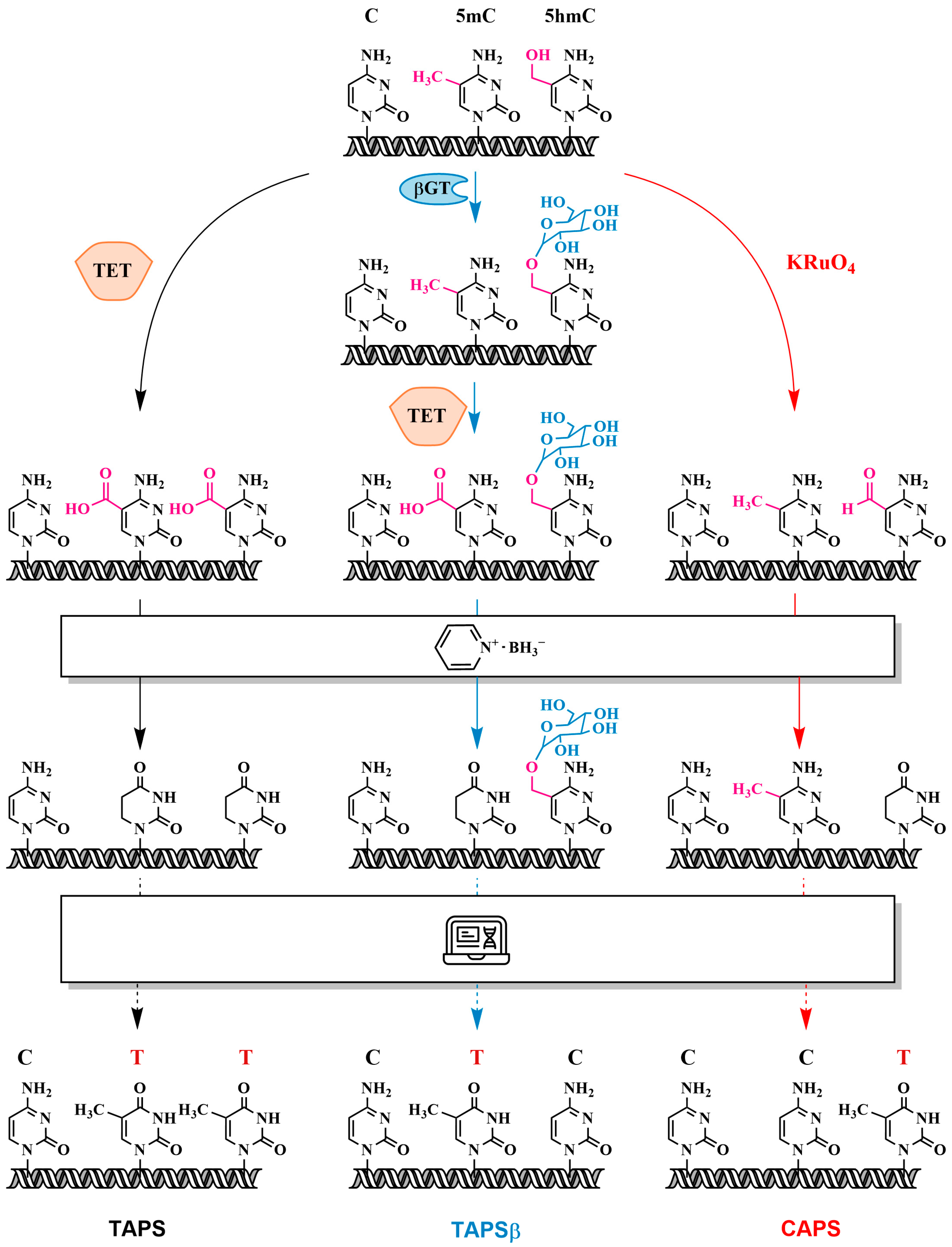 Biomolecules 14 01346 g015