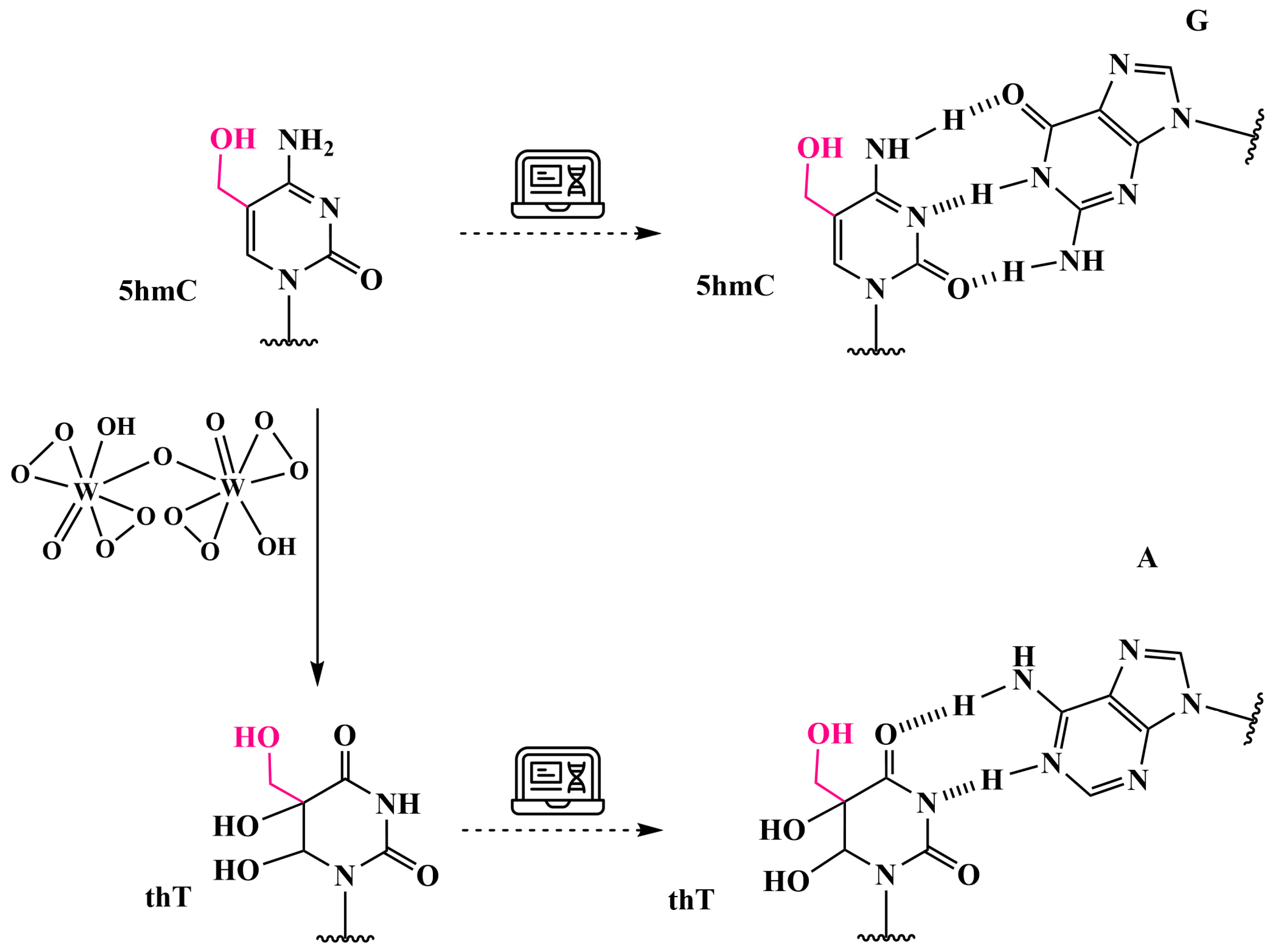Biomolecules 14 01346 g016